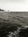 A monochrome image depicting a vast expanse of water, presumably a sea or ocean, with gentle waves creating a textured surface. In the background, a coastal cityscape is visible, featuring several buildings and trees along the shoreline.