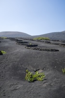 Lickanantay community members planting native crops in the arid landscape near La Serena.