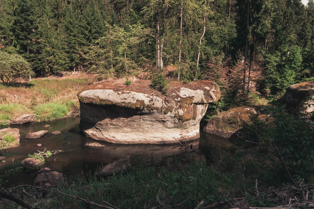 a stream with rocks and grass