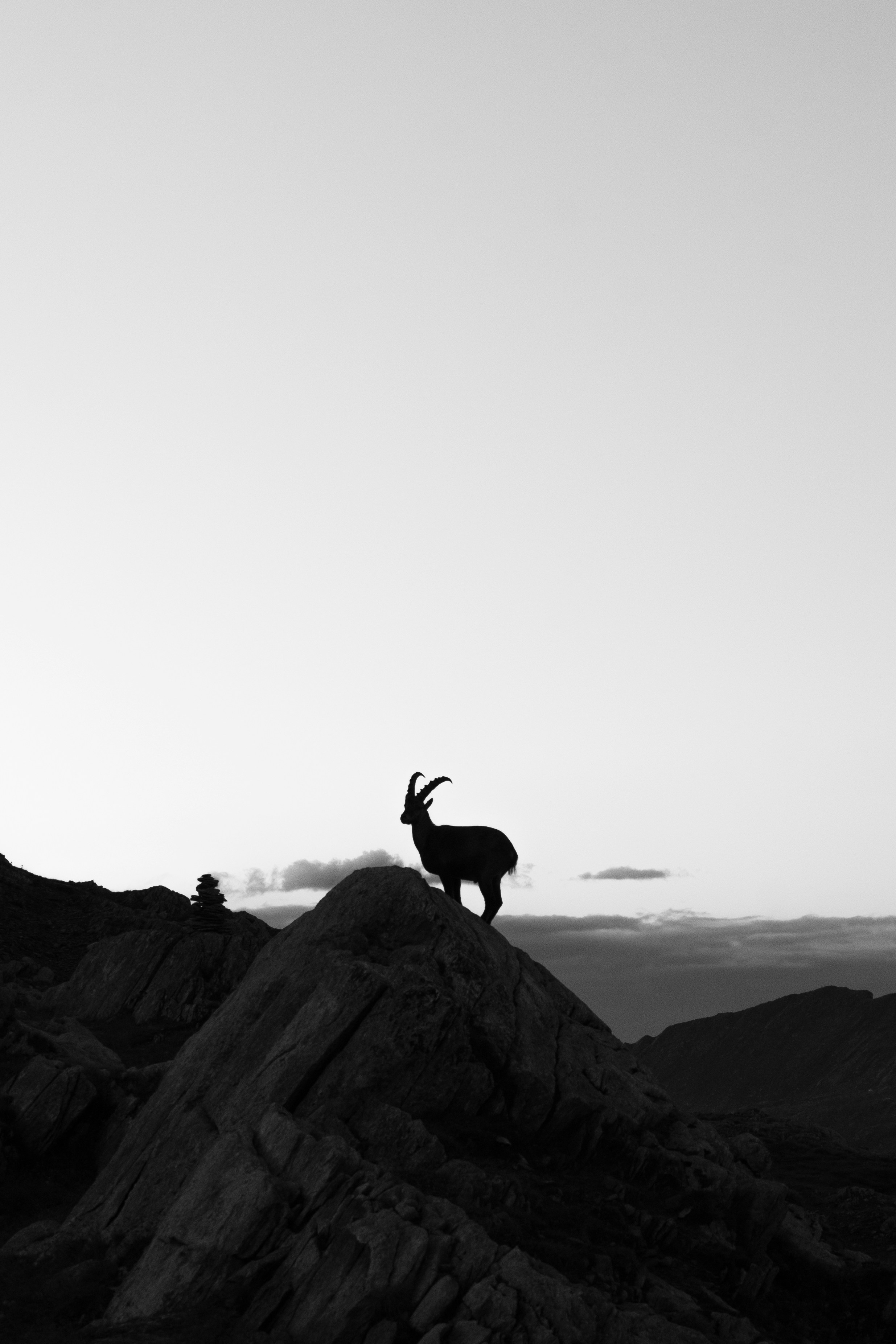 Photo by kajtek