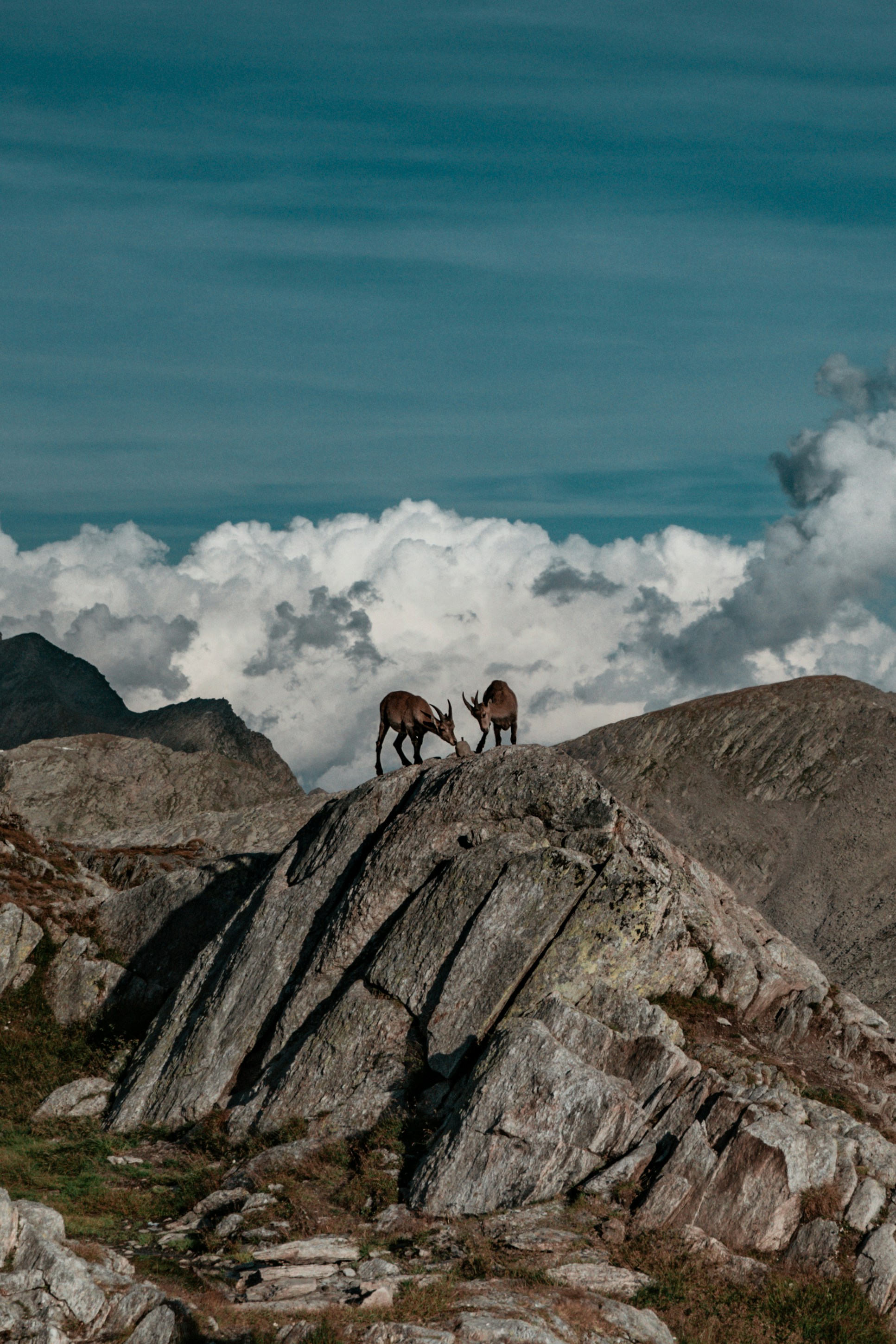 Photo by kajtek