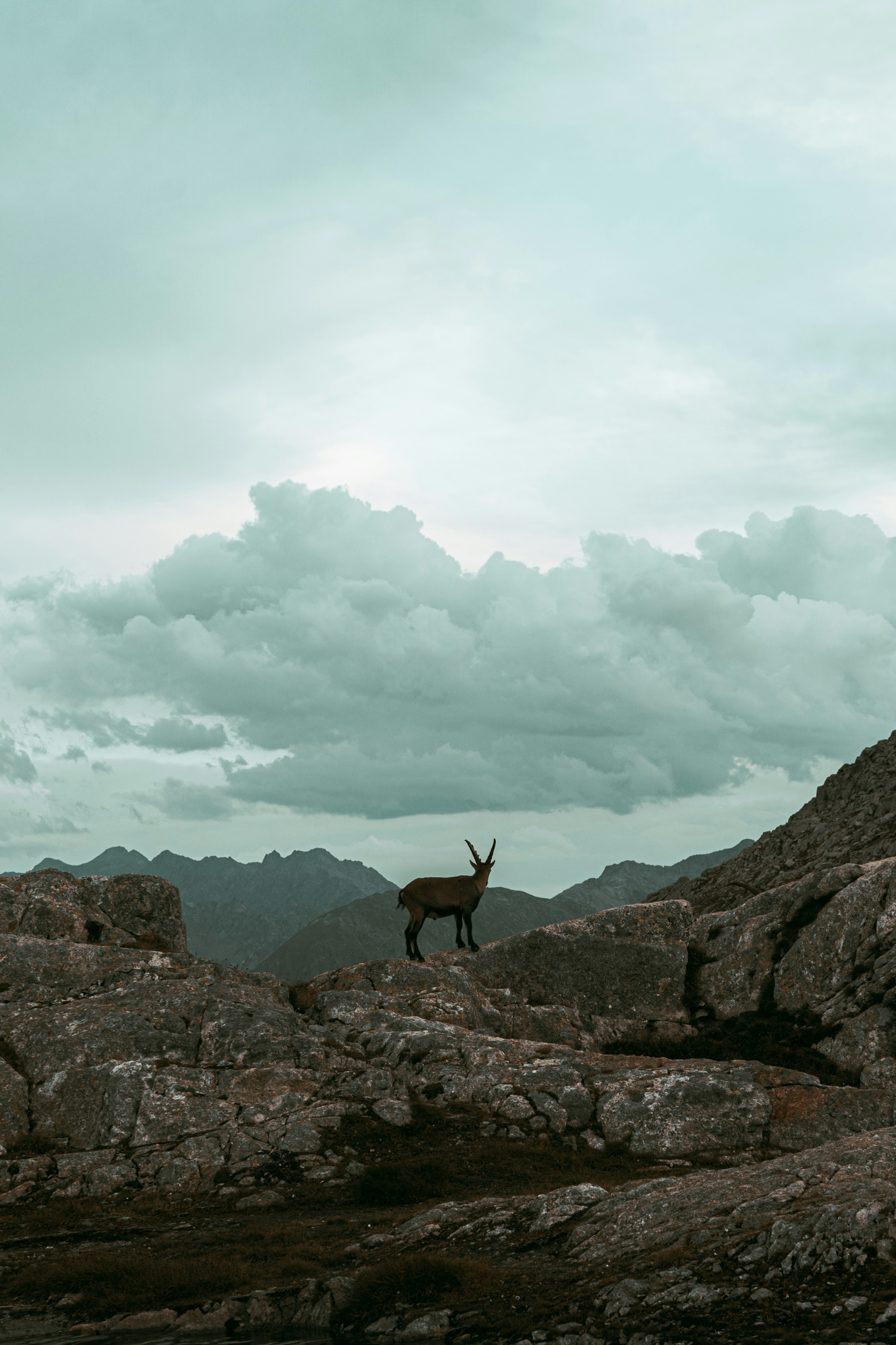 Photo by kajtek