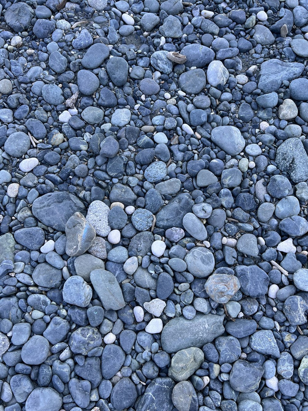 a close-up of a gravel