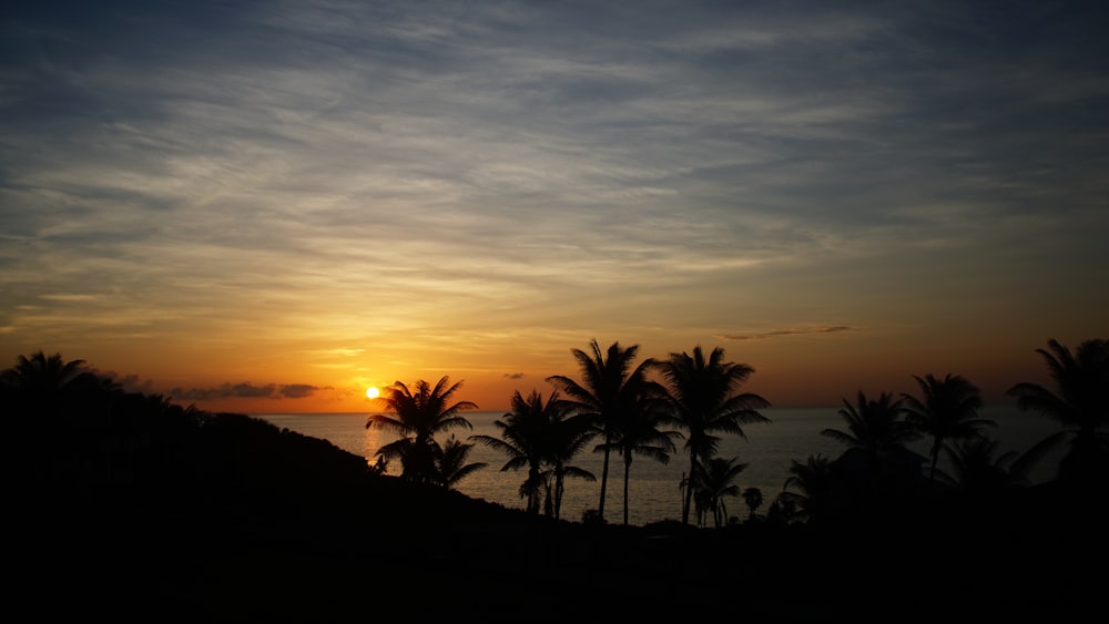 a sunset over a tropical area