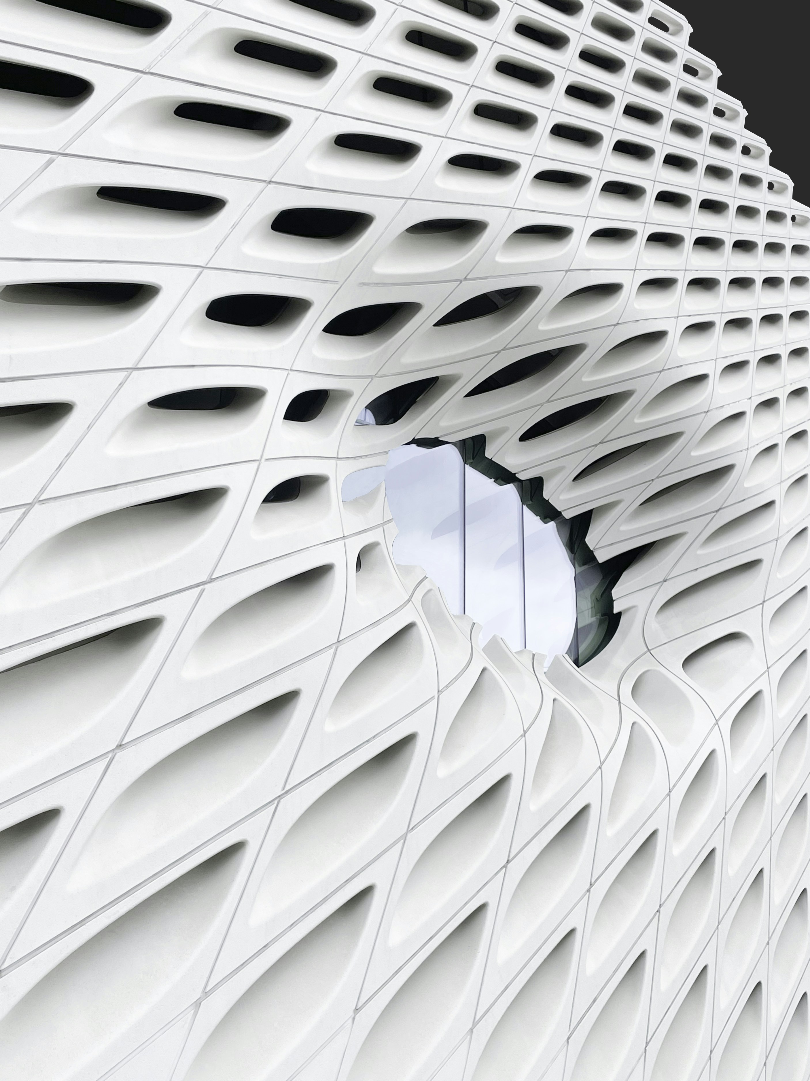 Photo by snapsbyclark