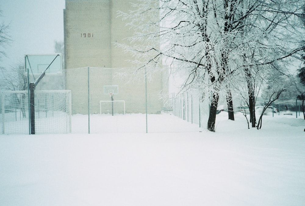 a fence and trees with snow