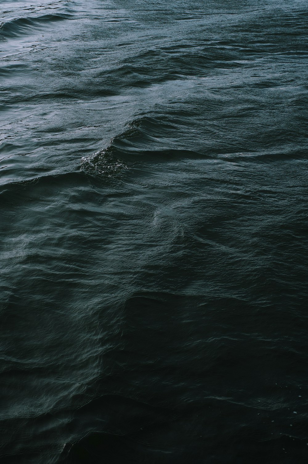 a body of water with waves