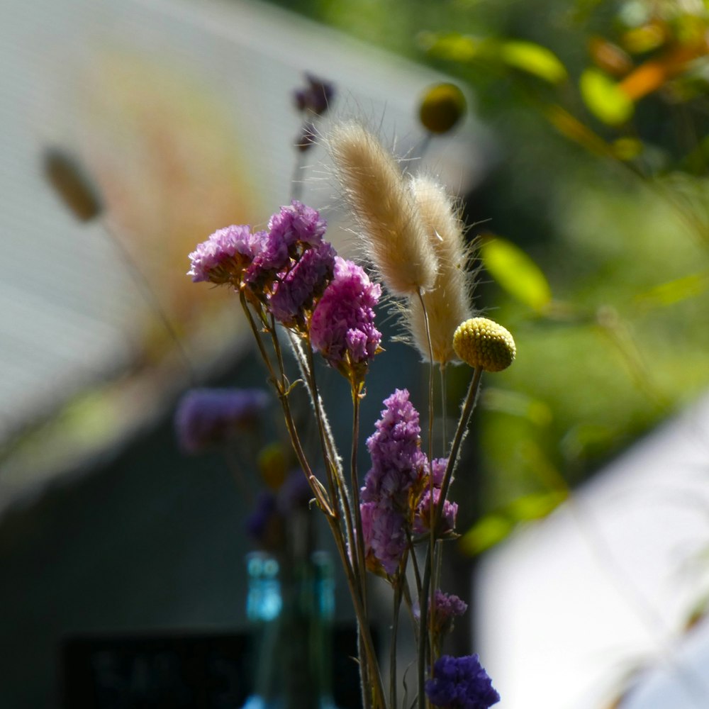 a bee on a flower