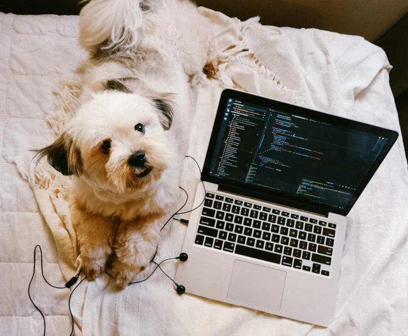 Best Laptop Friendly Cafes in Cebu With Fast Wifi