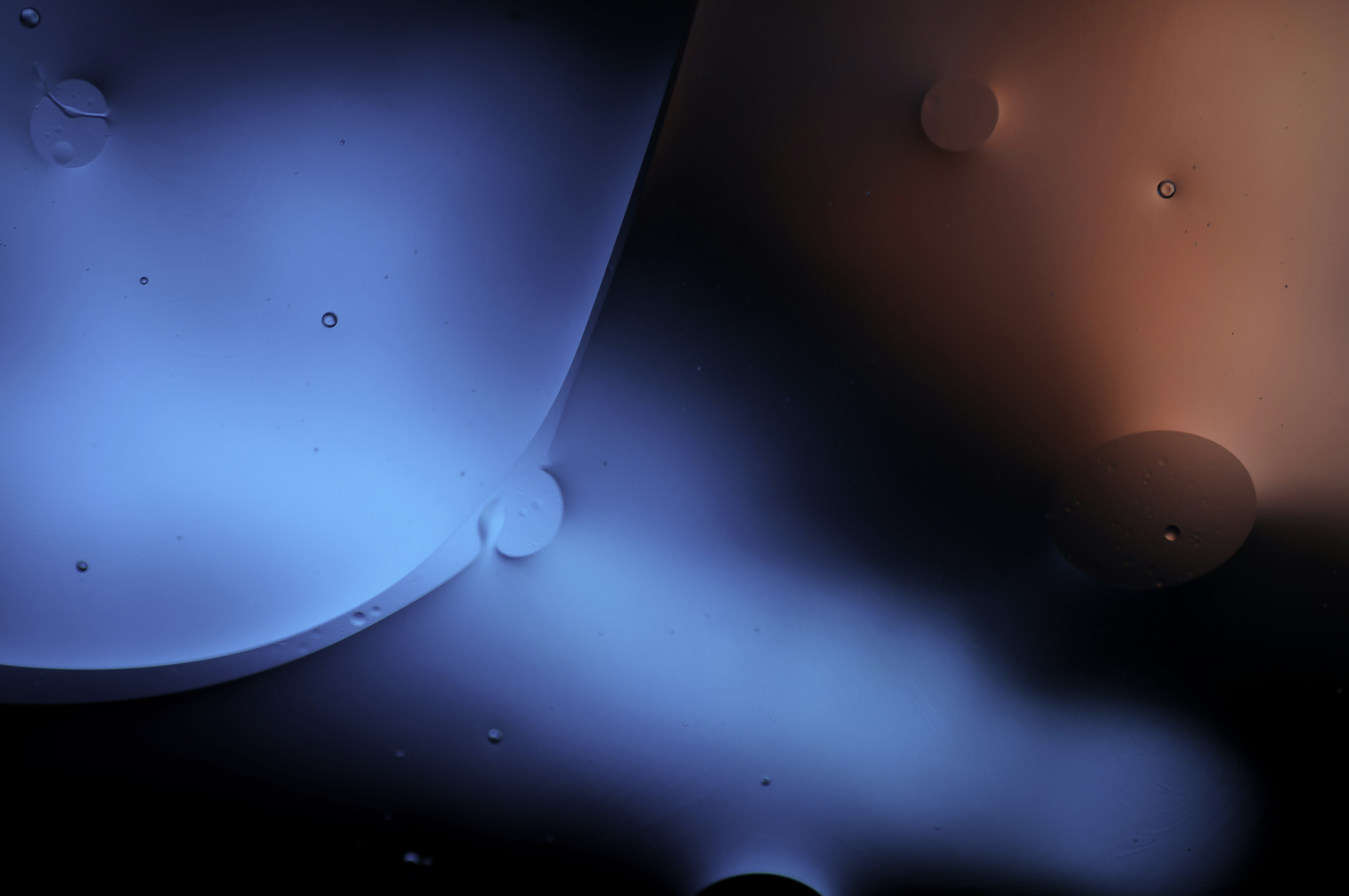 Photo by thom_oxford