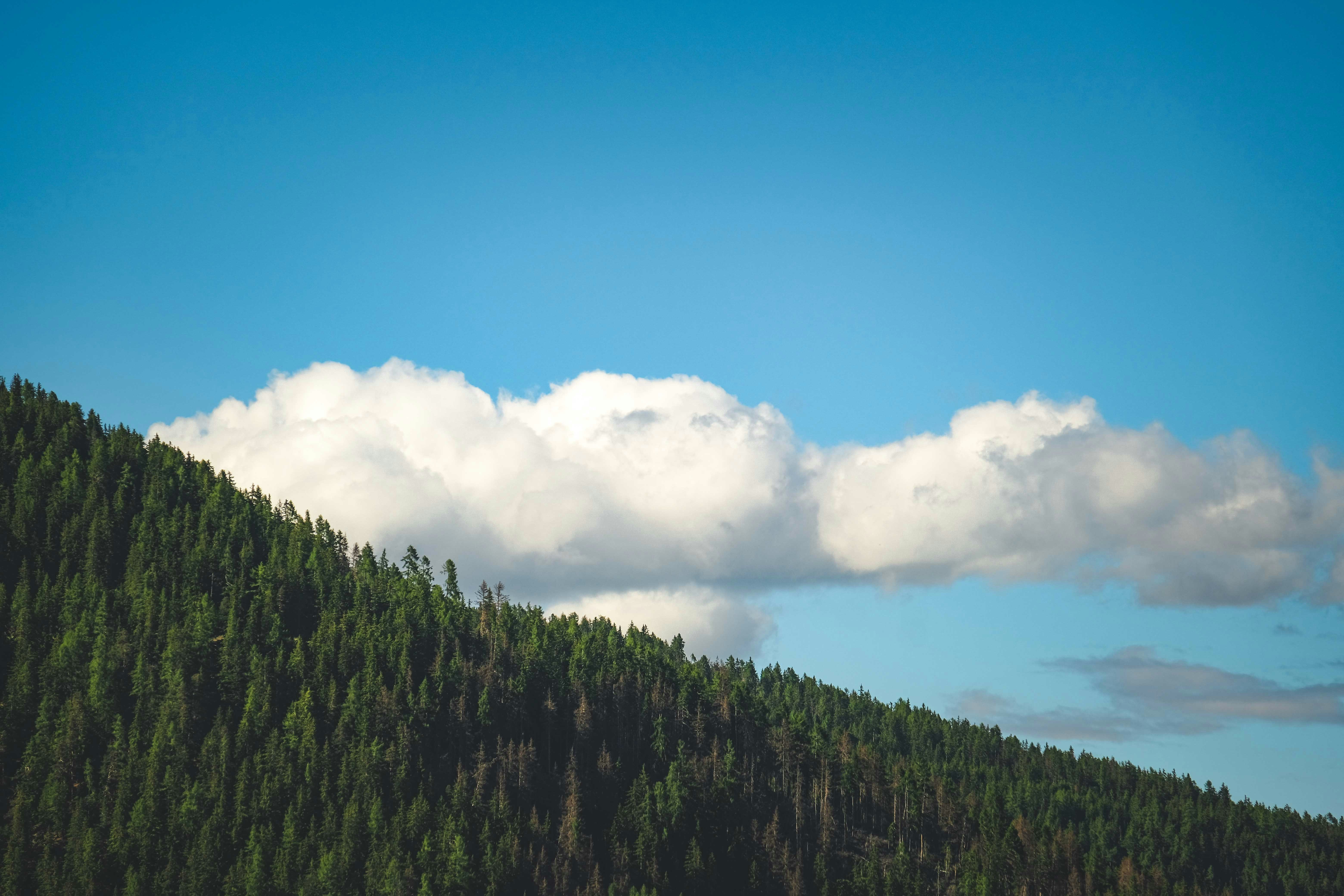 Photo by francesco_ungaro