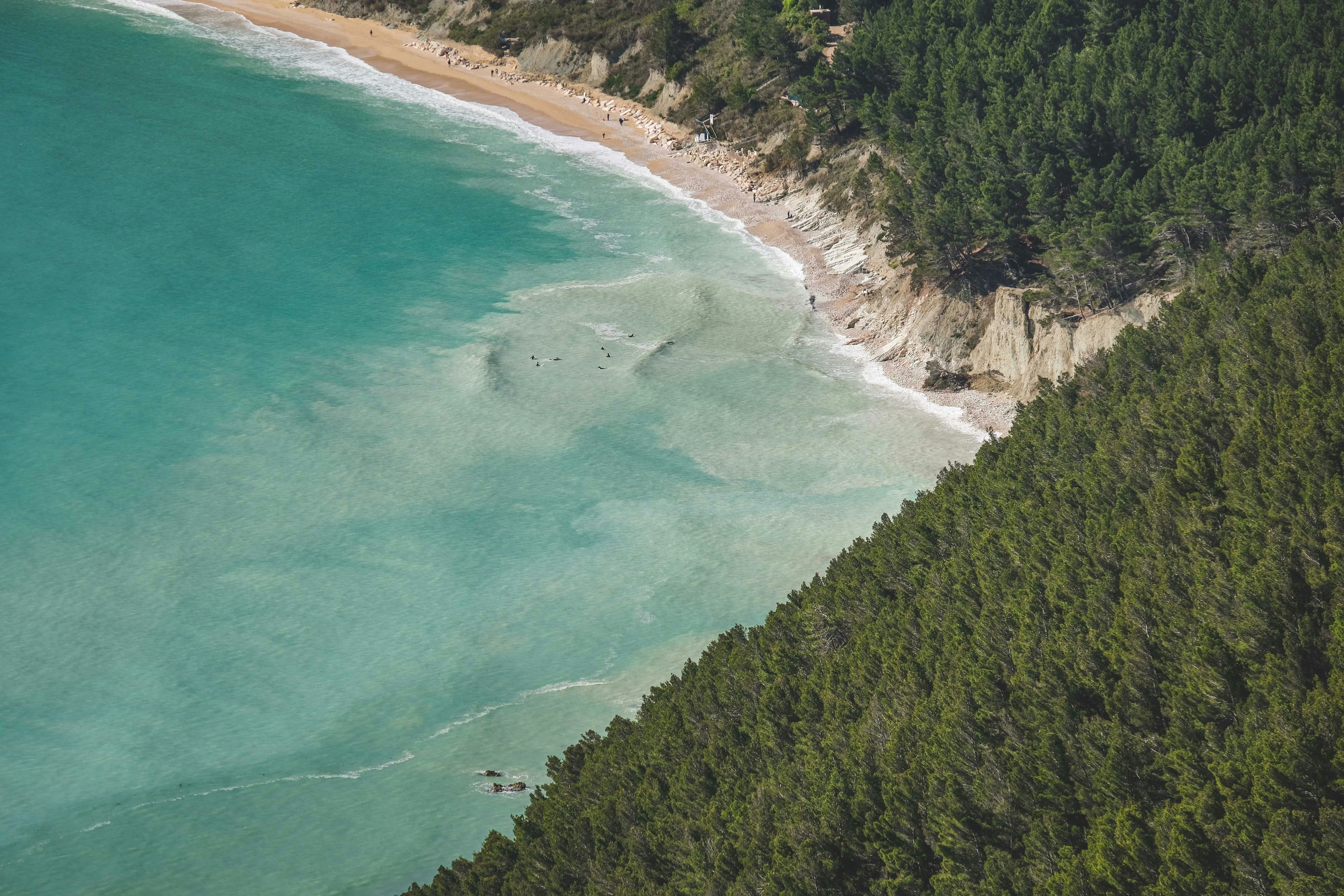 Photo by francesco_ungaro