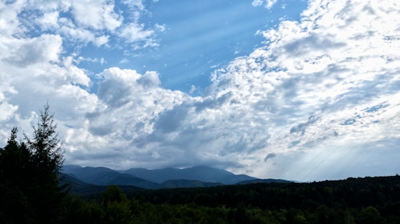 A picturesque landscape featuring a vast expanse of sky filled with dramatic clouds. Below, a dense forest stretches out towards a range of distant mountains. The tree line is visible in the foreground, with various shades of green.