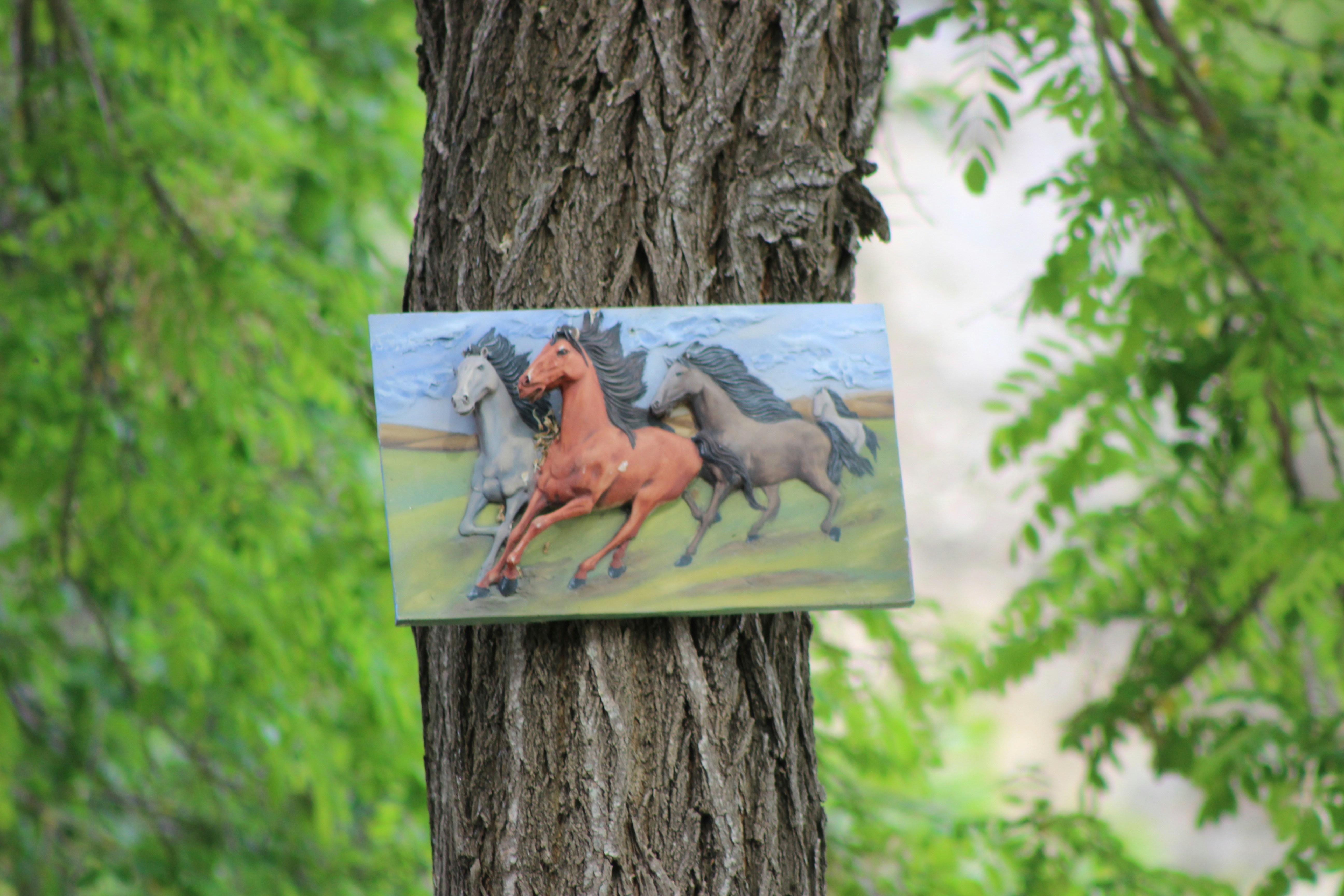 a tree with a painting on it