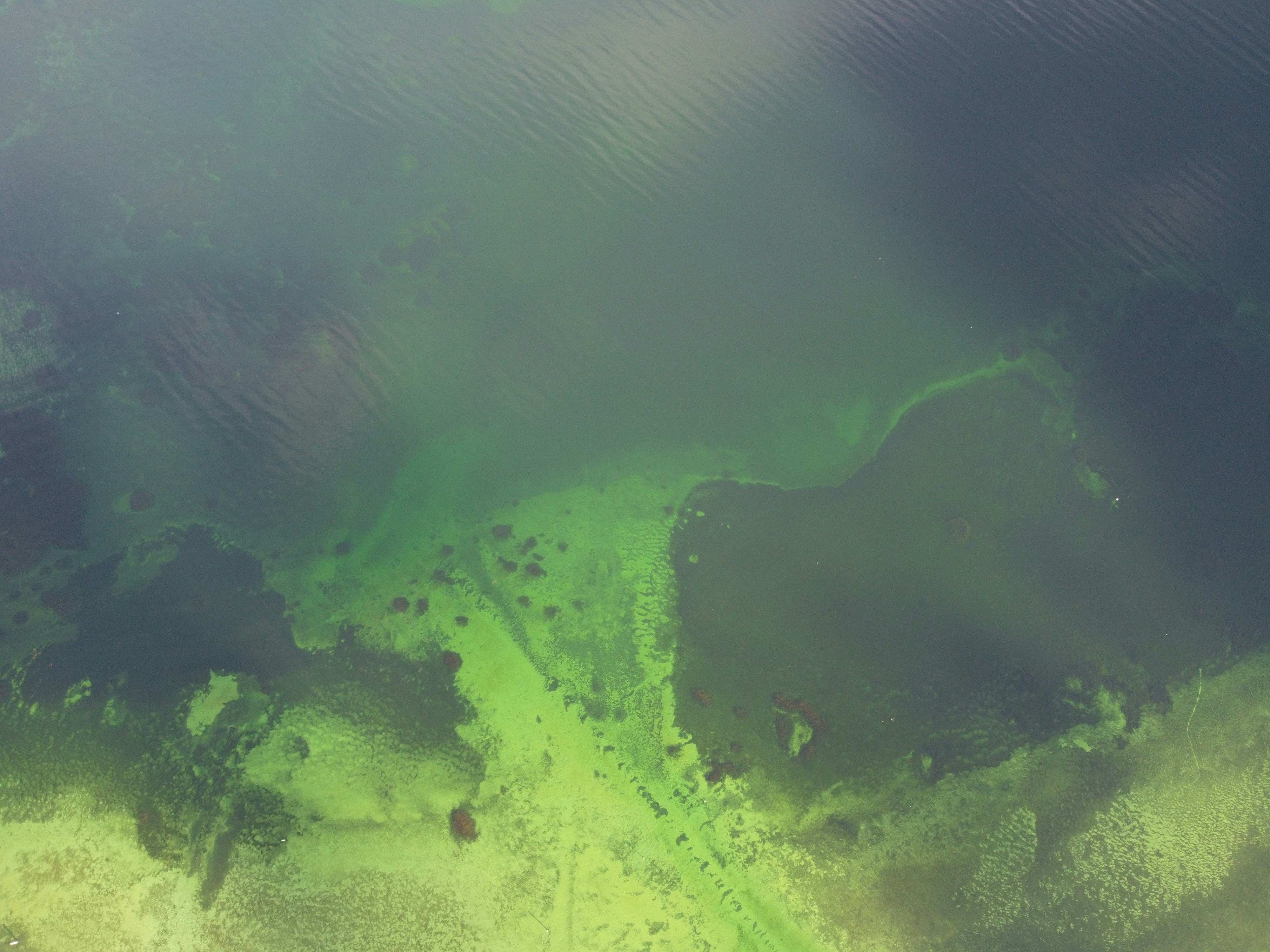 Photo by christian_dubendorfer