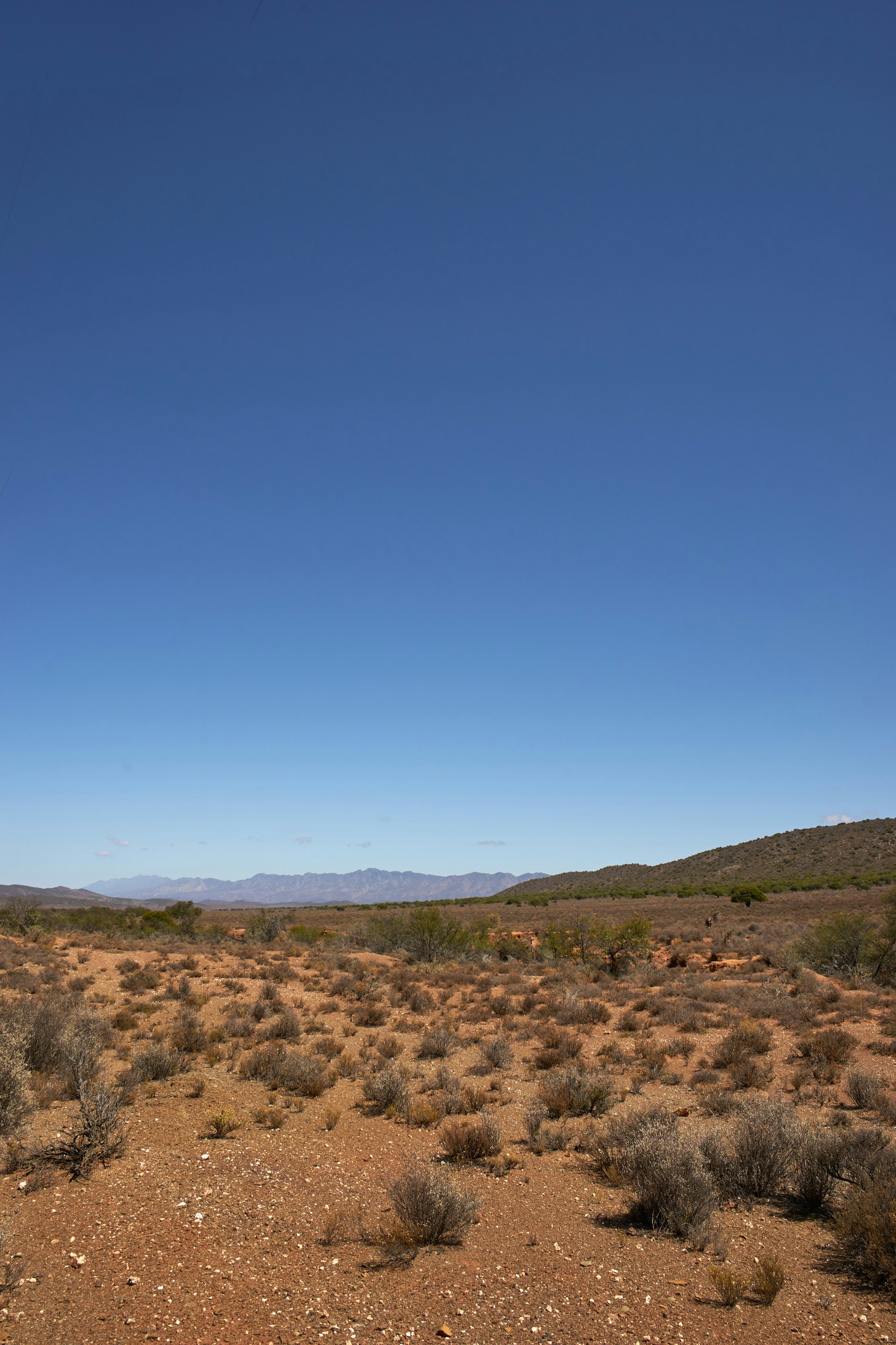 a desert landscape with bushes and hills