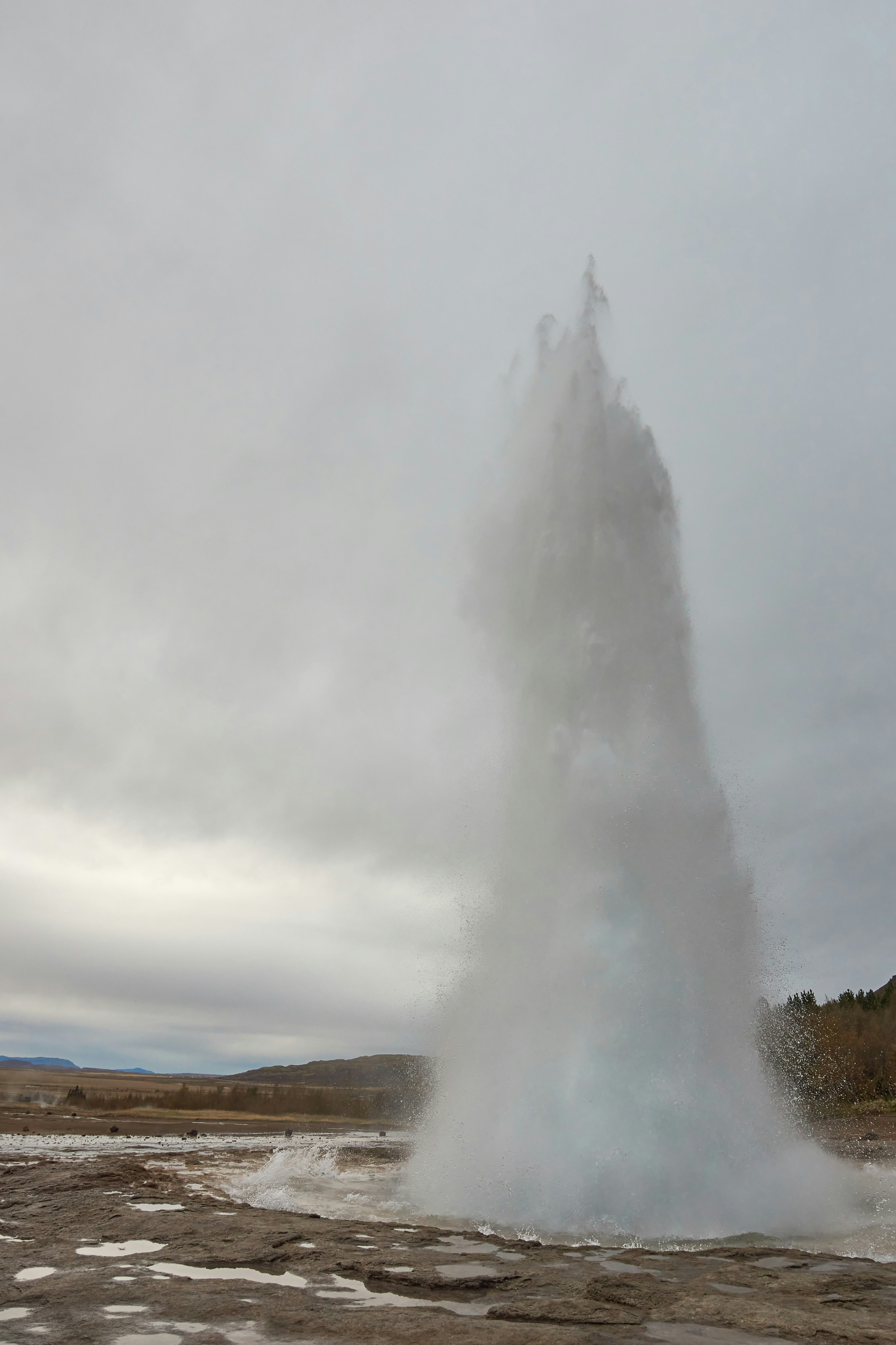 Photo by wolfgang_hasselmann