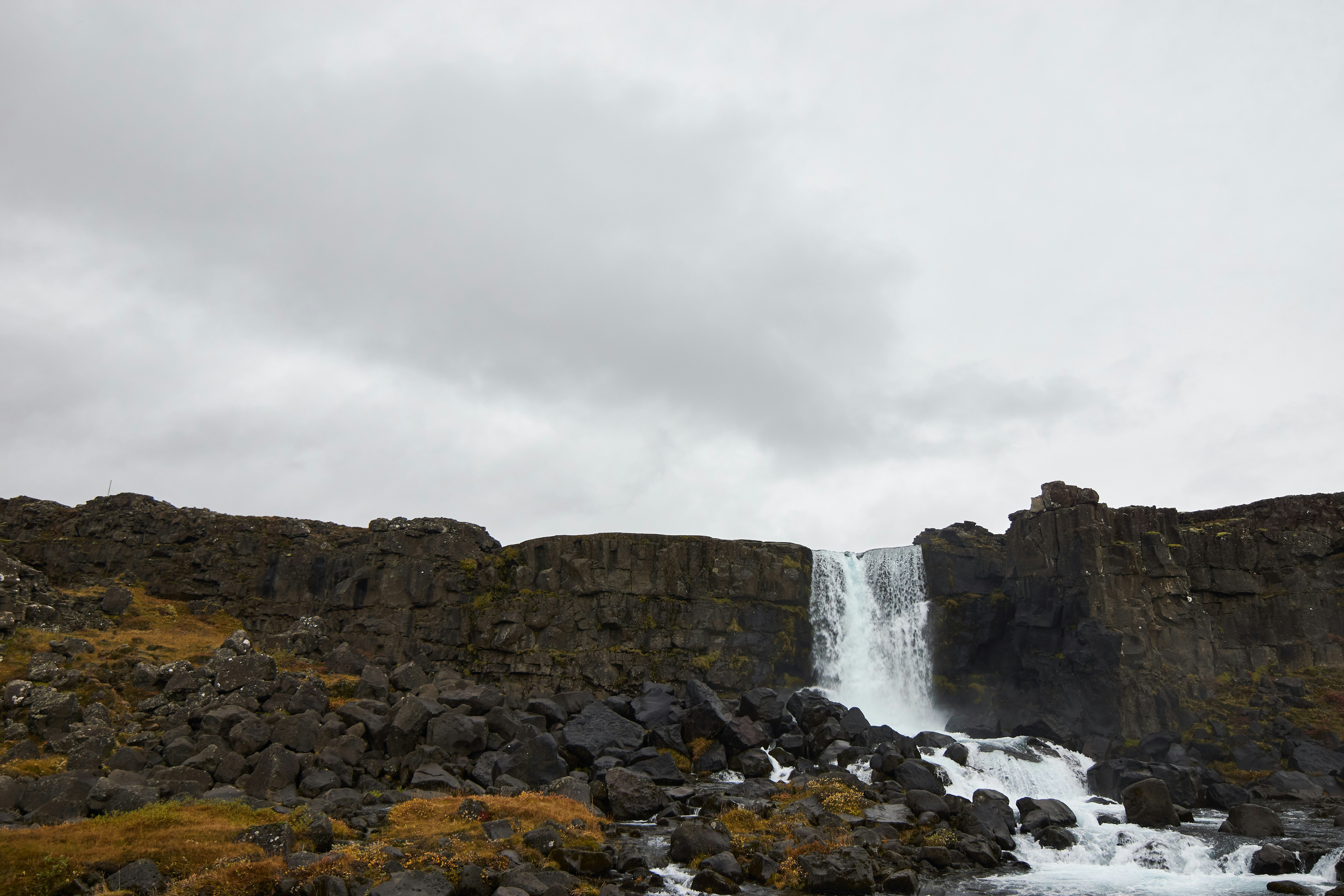 Photo by wolfgang_hasselmann