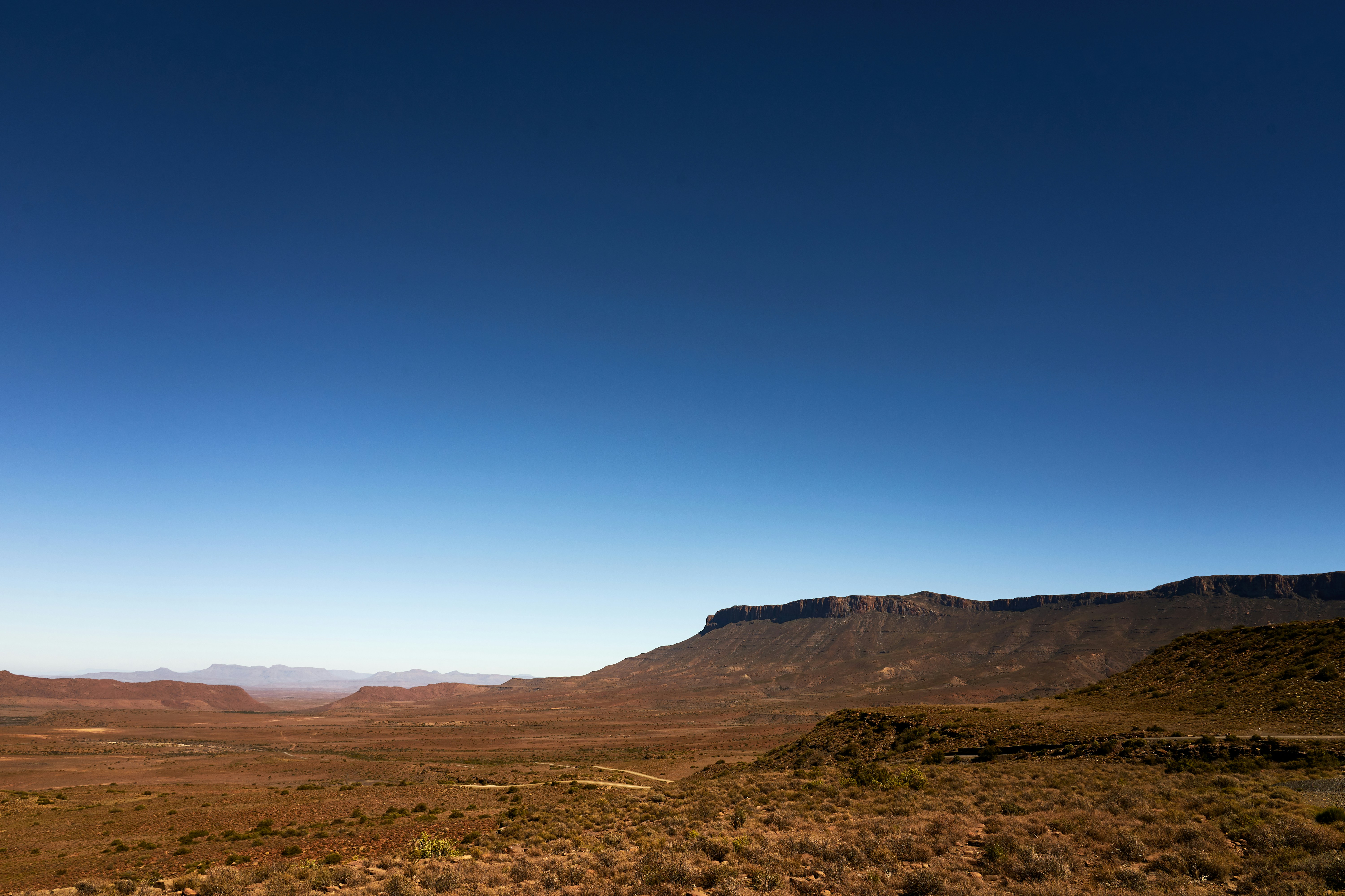 Photo by wolfgang_hasselmann