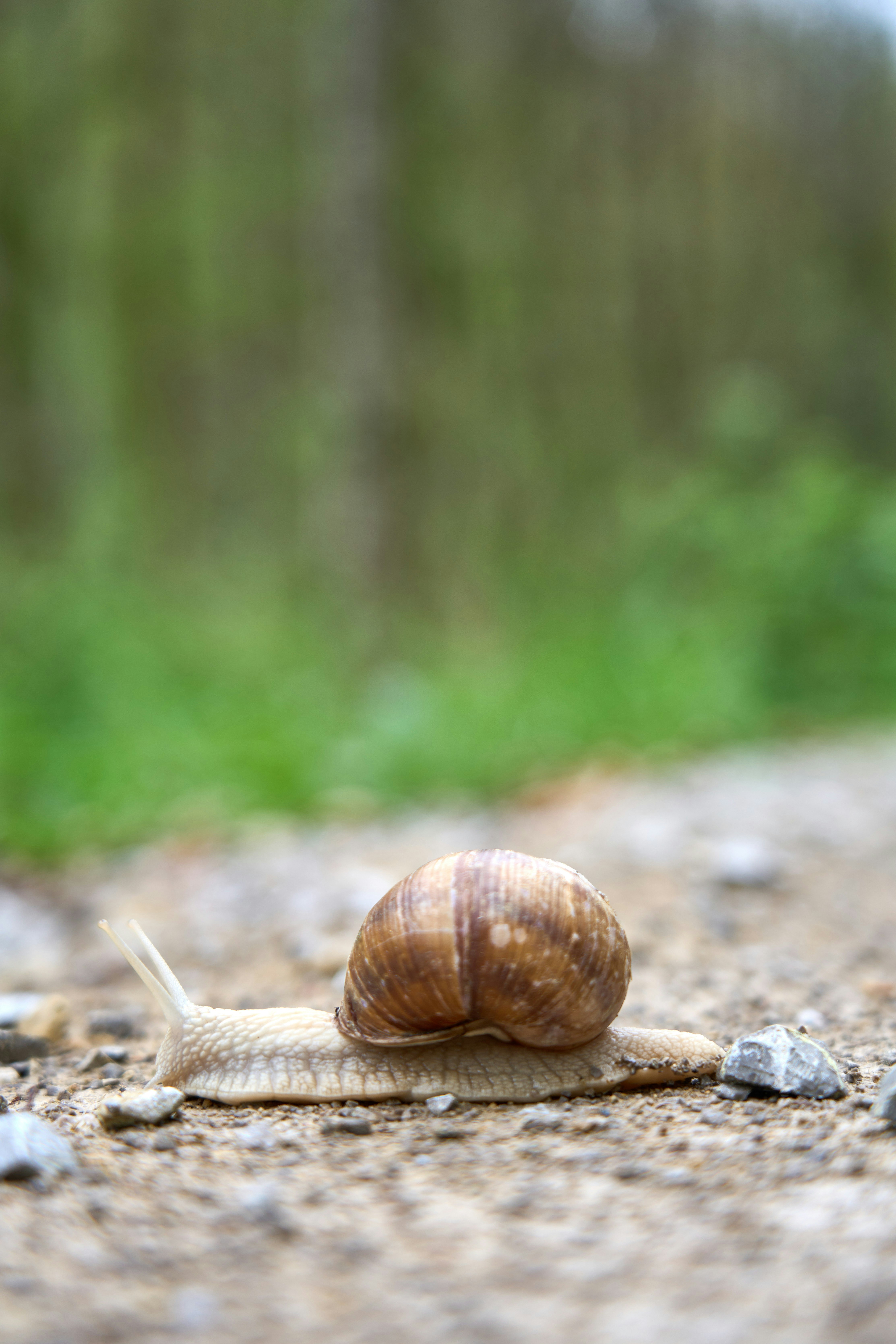 Photo by wolfgang_hasselmann