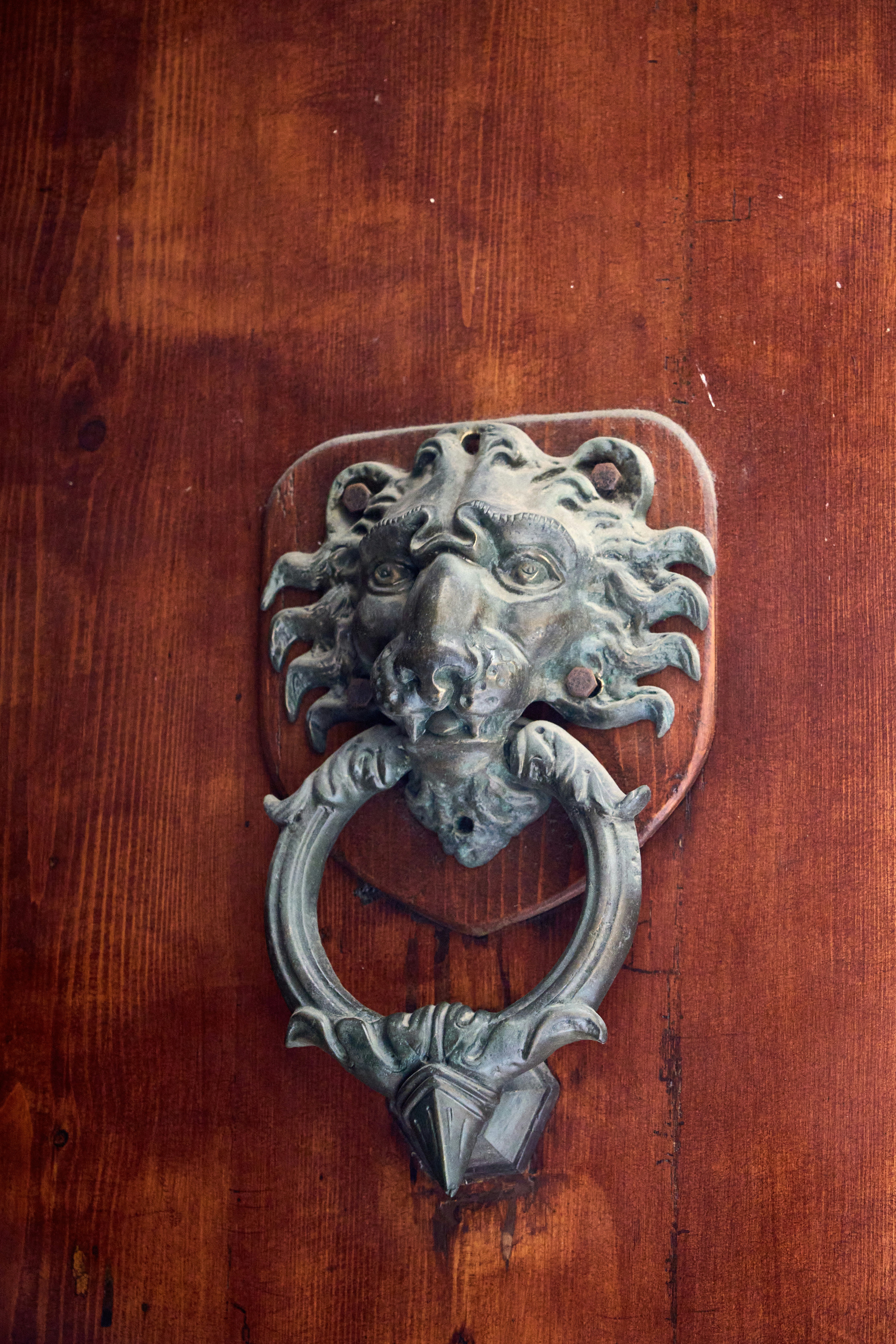 Photo by wolfgang_hasselmann