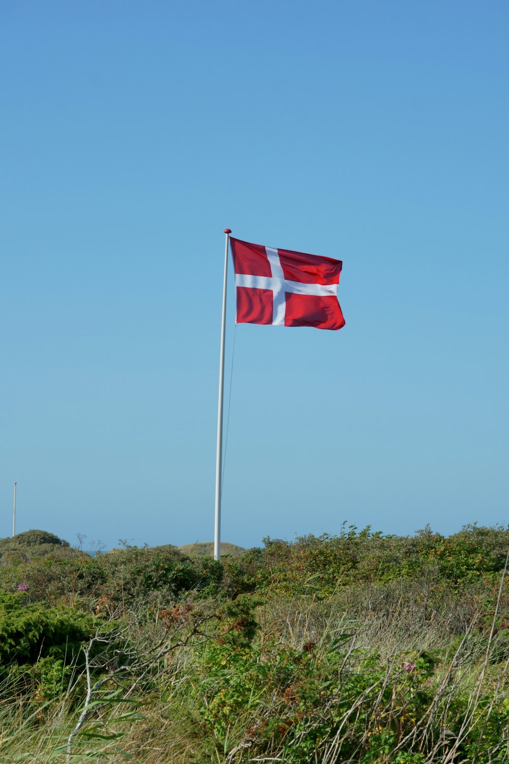 a flag on a pole