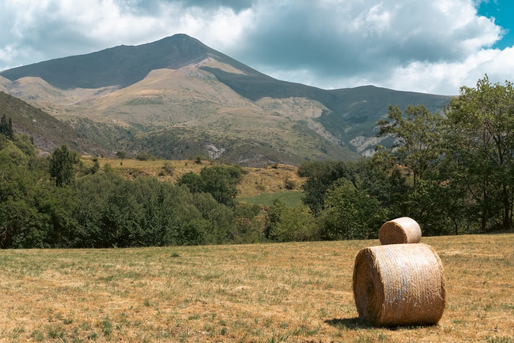 a field with trees and mountains in the background