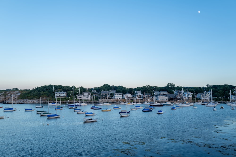 a body of water with boats in it and buildings in the back