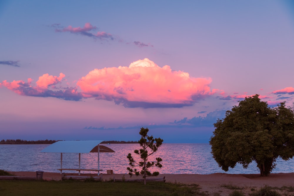 a body of water with a beach and trees around it