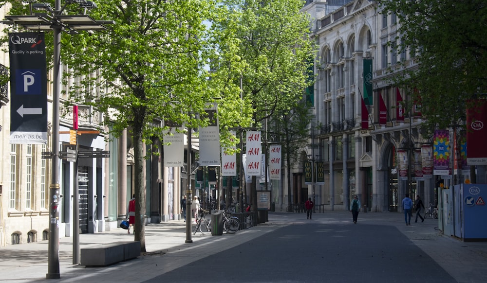 a street with trees and buildings on either side of it