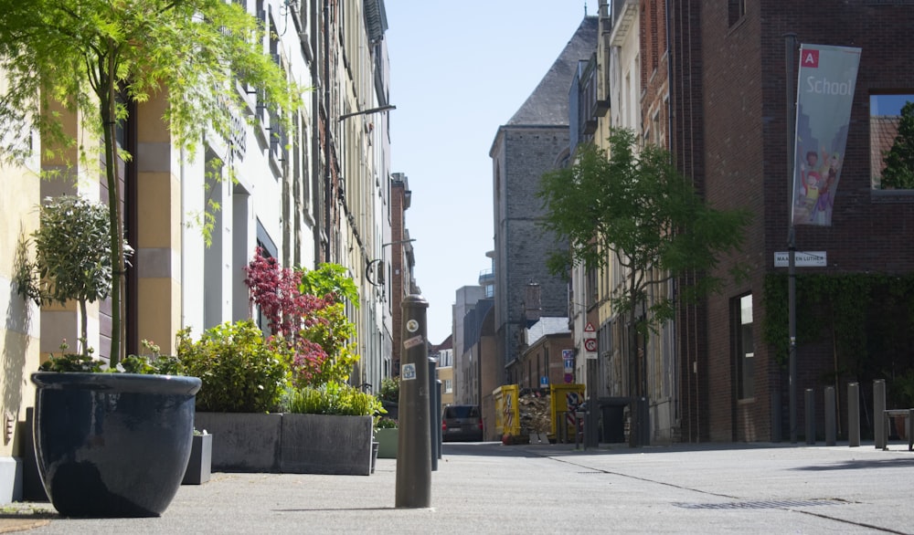 a street with buildings and trees