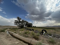 A landscape with a large tree on the left side, several old tires scattered on the ground, and a concrete irrigation ditch in the foreground. The sky is filled with dramatic clouds, creating a dynamic contrast with the open field and distant mountains.