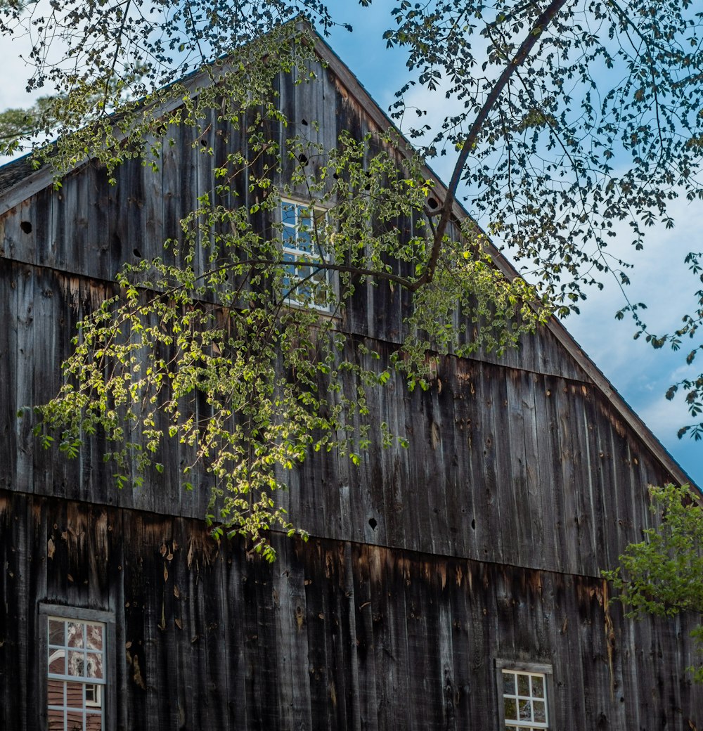 a wooden building with a tree in the front