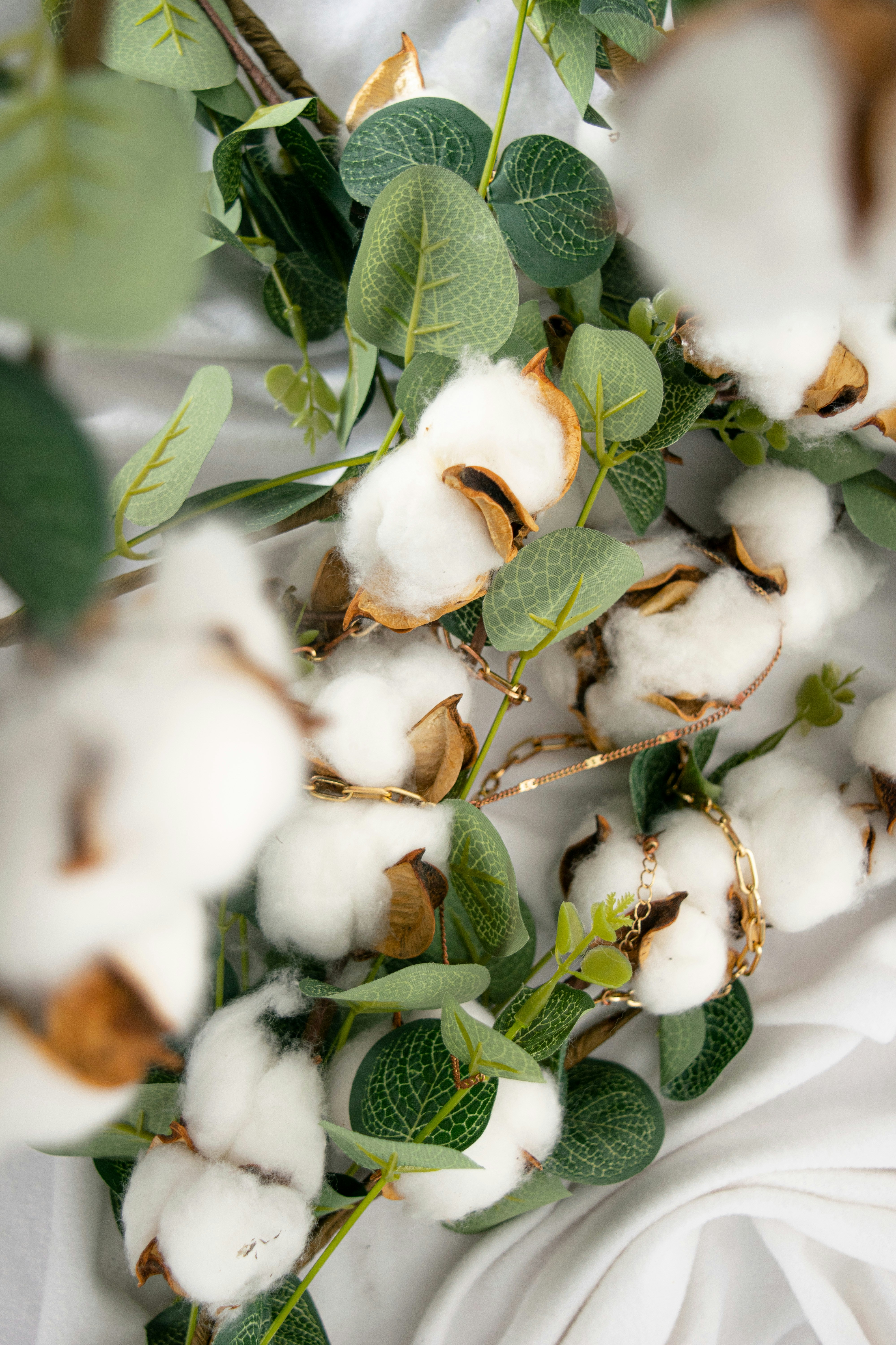 Enhance spaces with affordable cotton branches wholesale