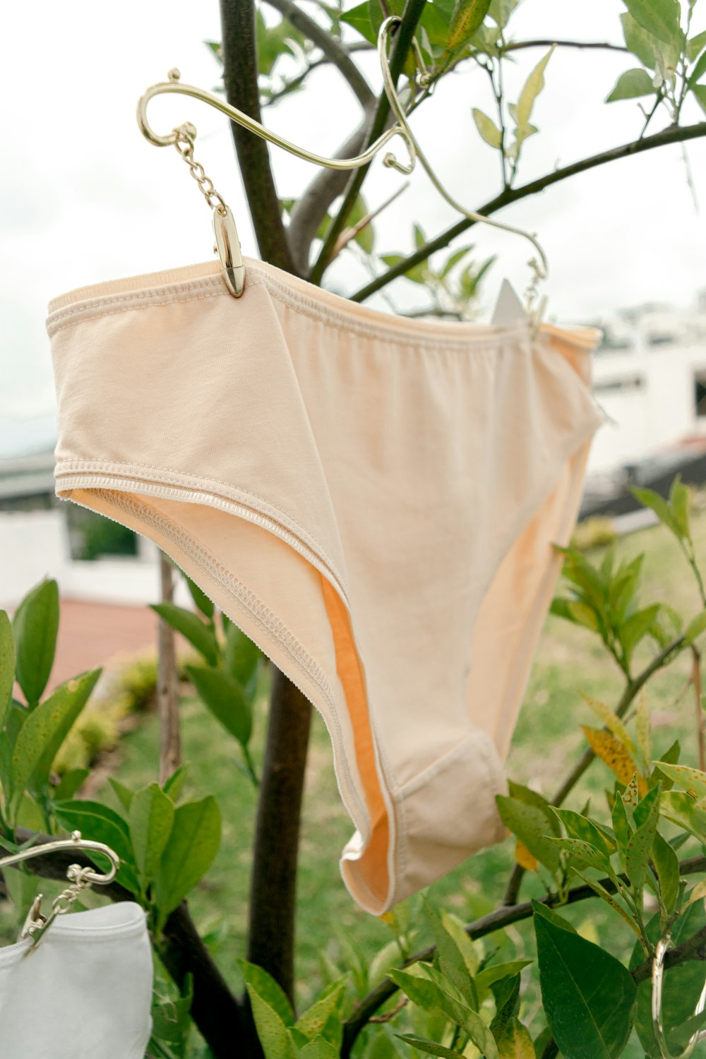 27+ Panty Pictures | Download Free Images on Unsplash