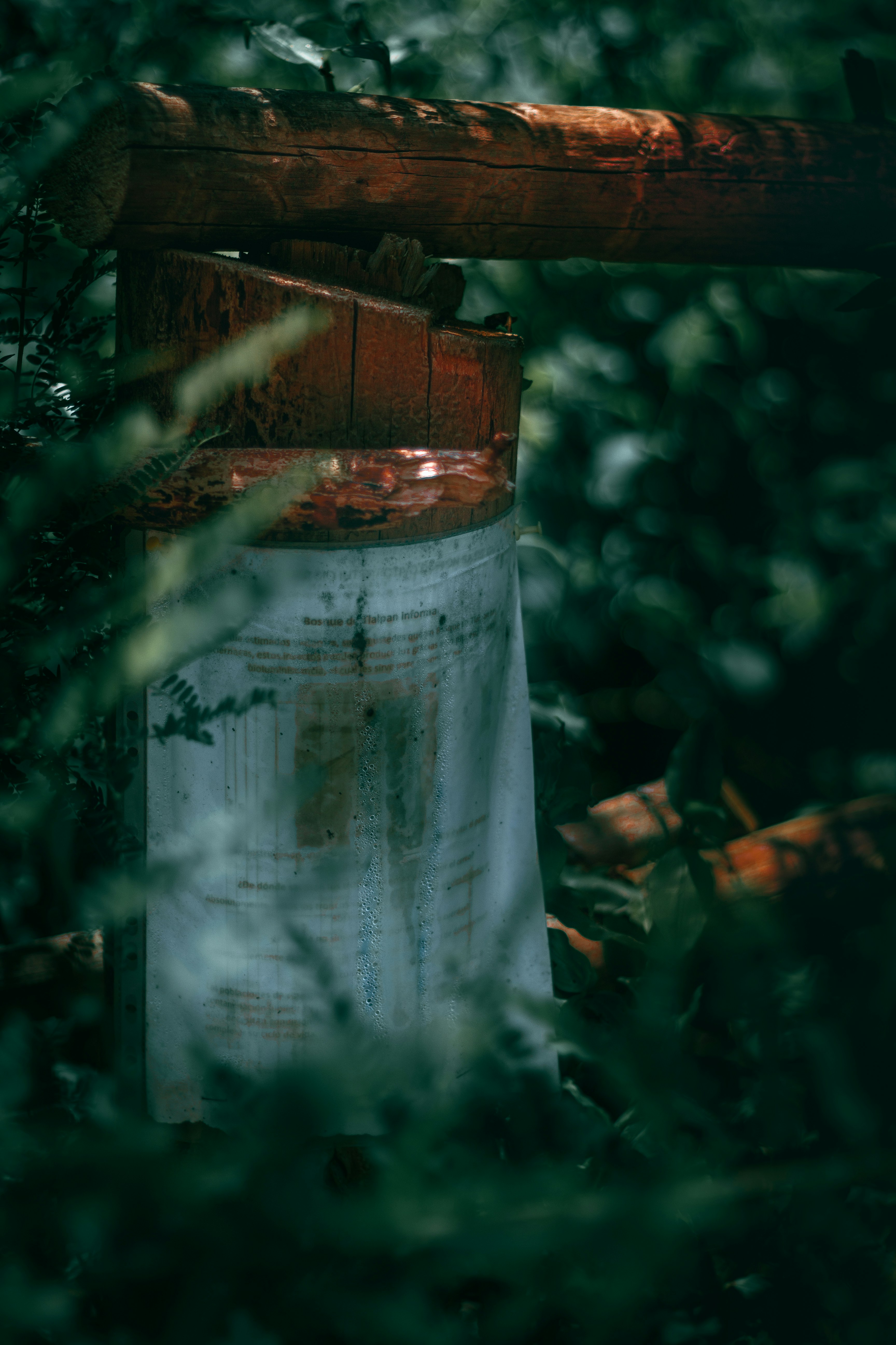 Photo by kristen_plastique