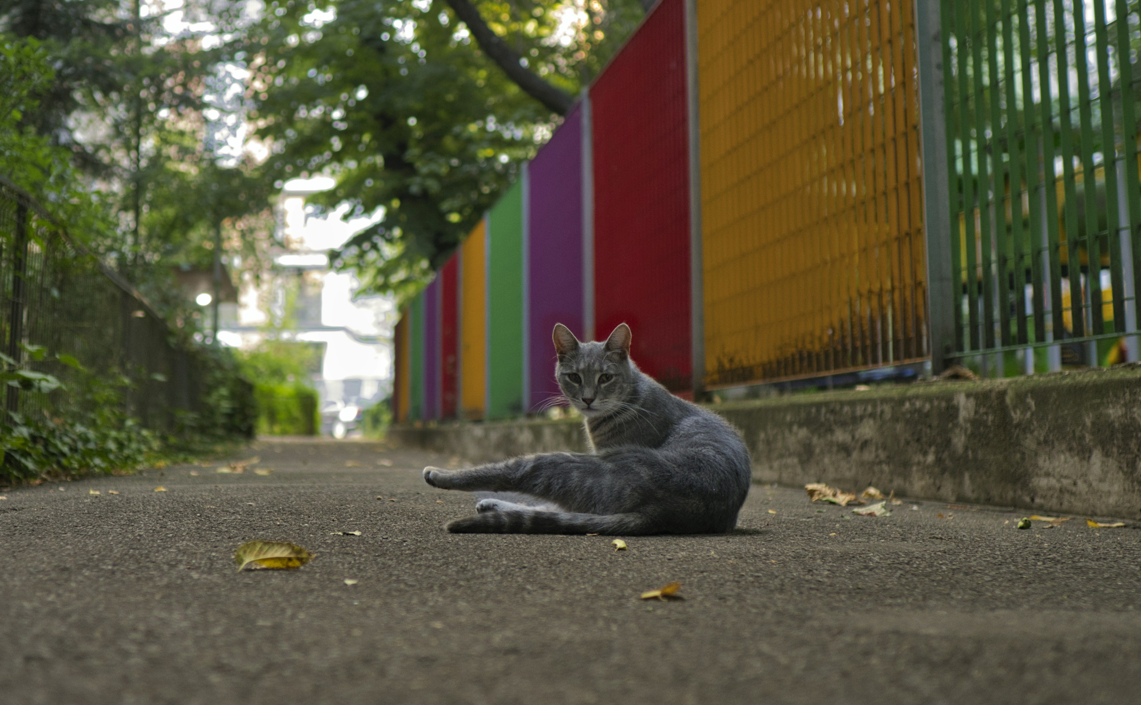 Călușei playground