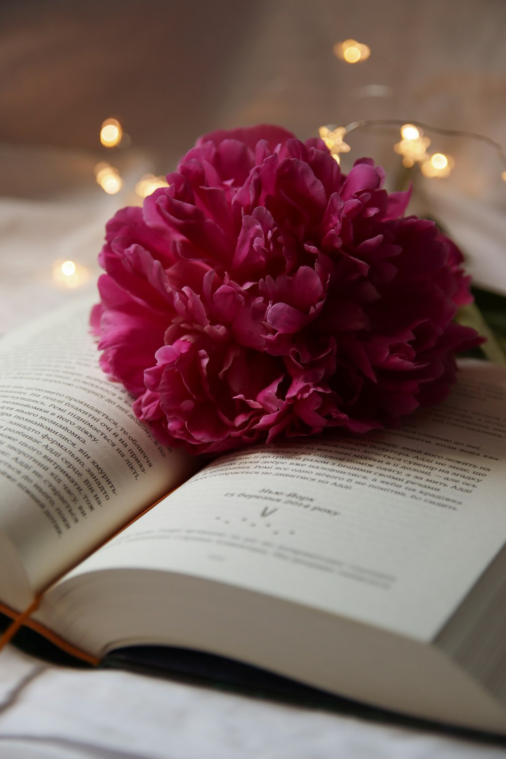 a bouquet of flowers on a book