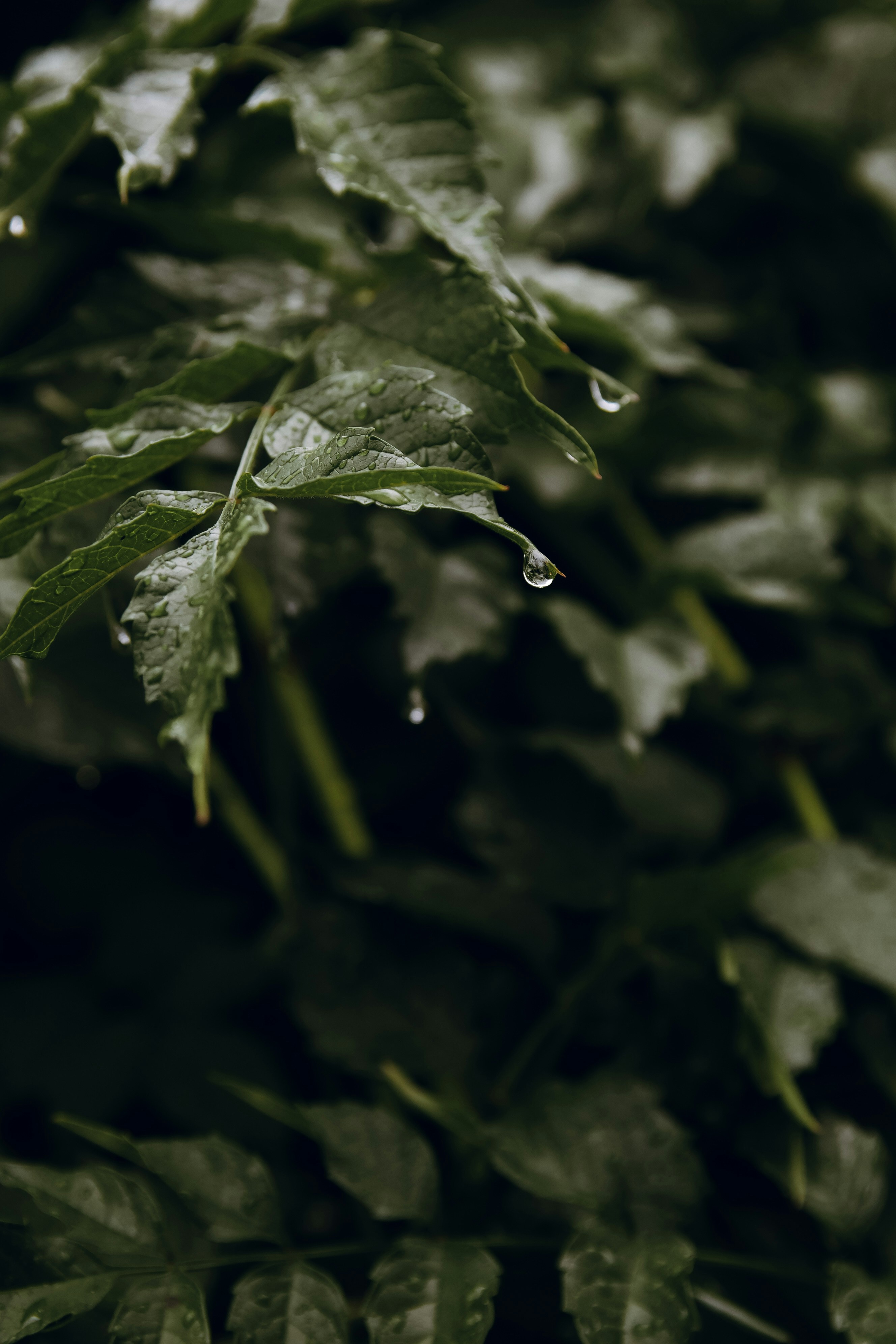 Photo by feeling_hope