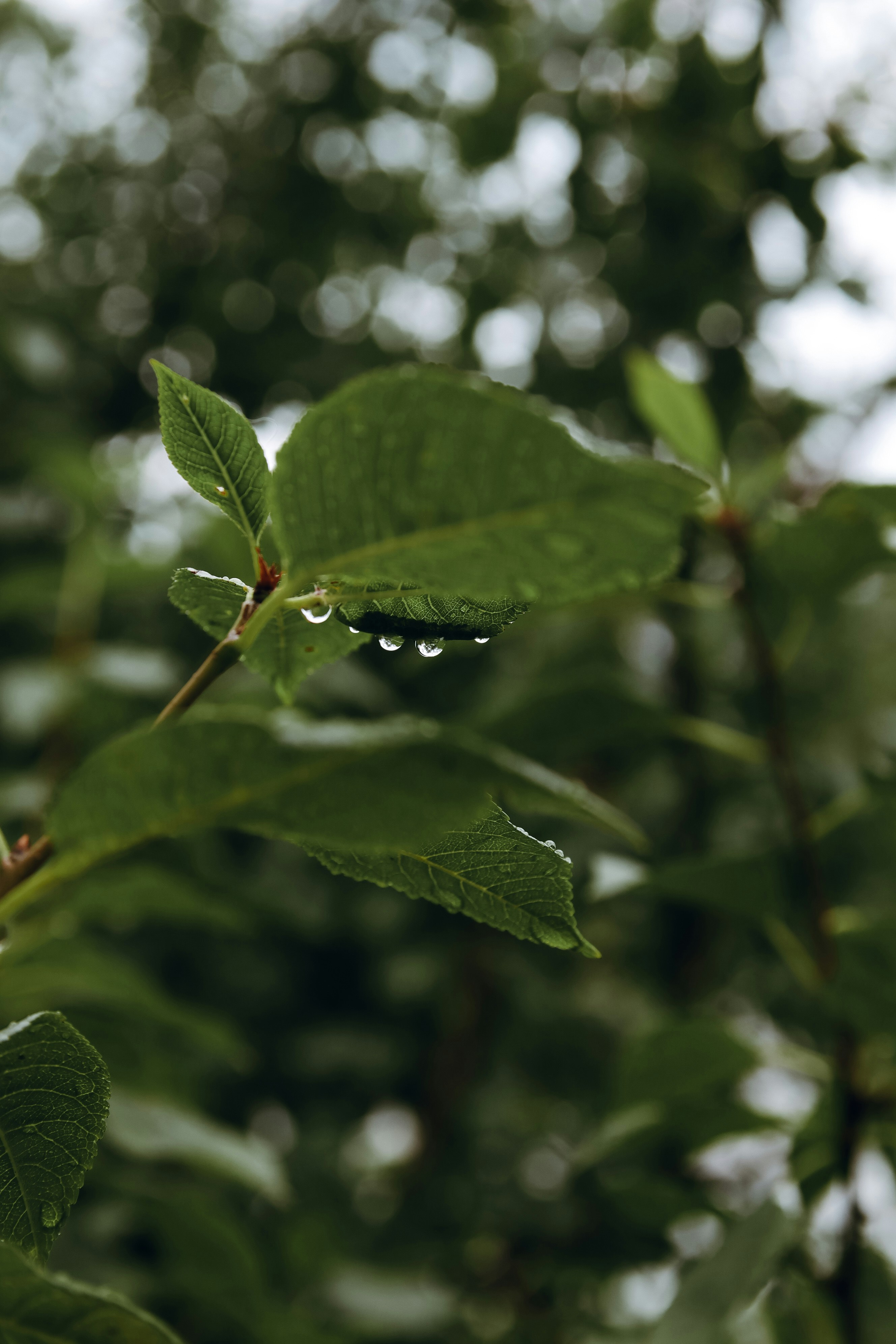 Photo by feeling_hope