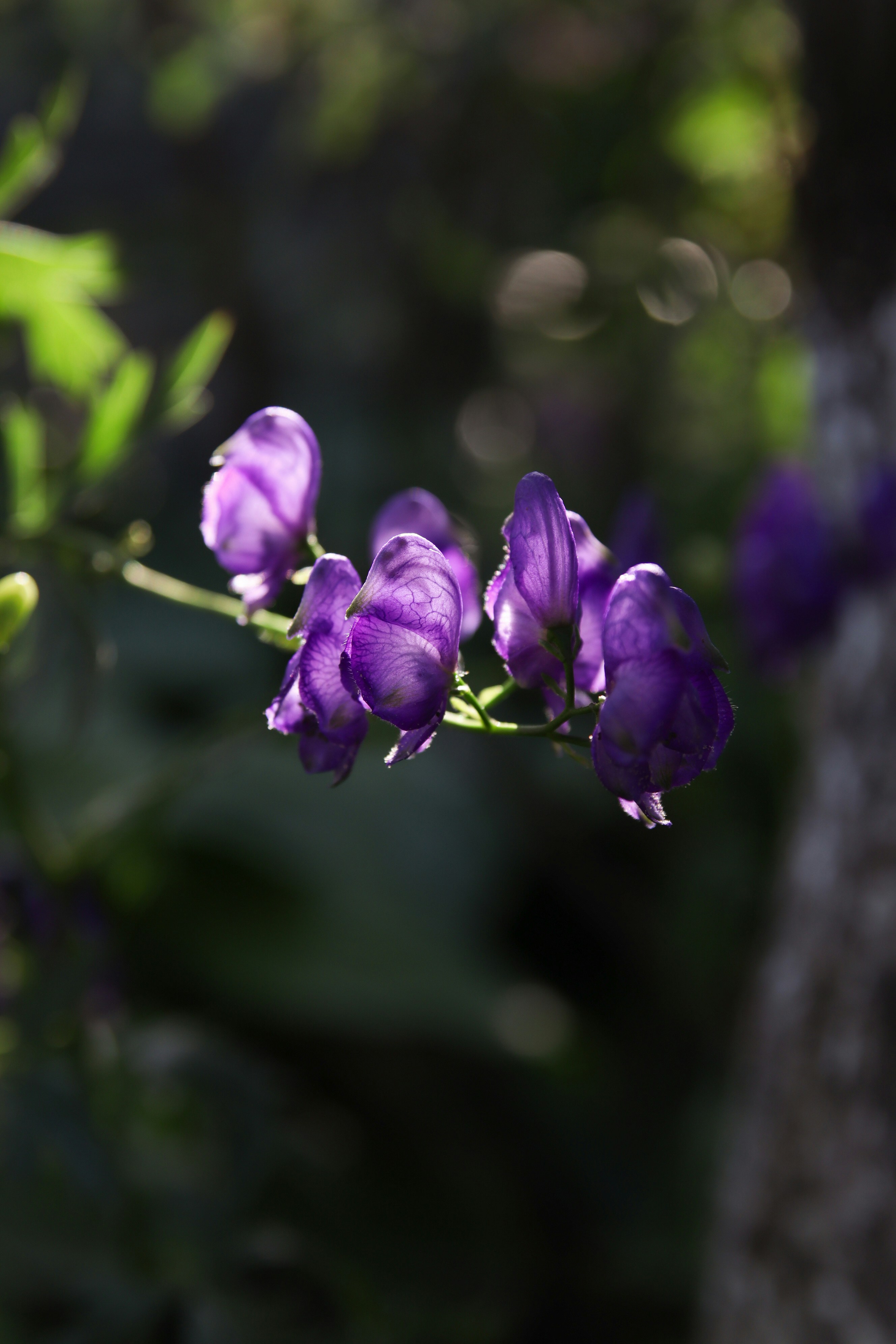 Photo by feeling_hope