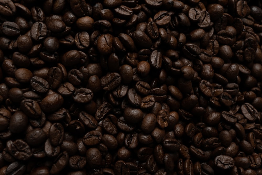 a pile of coffee beans