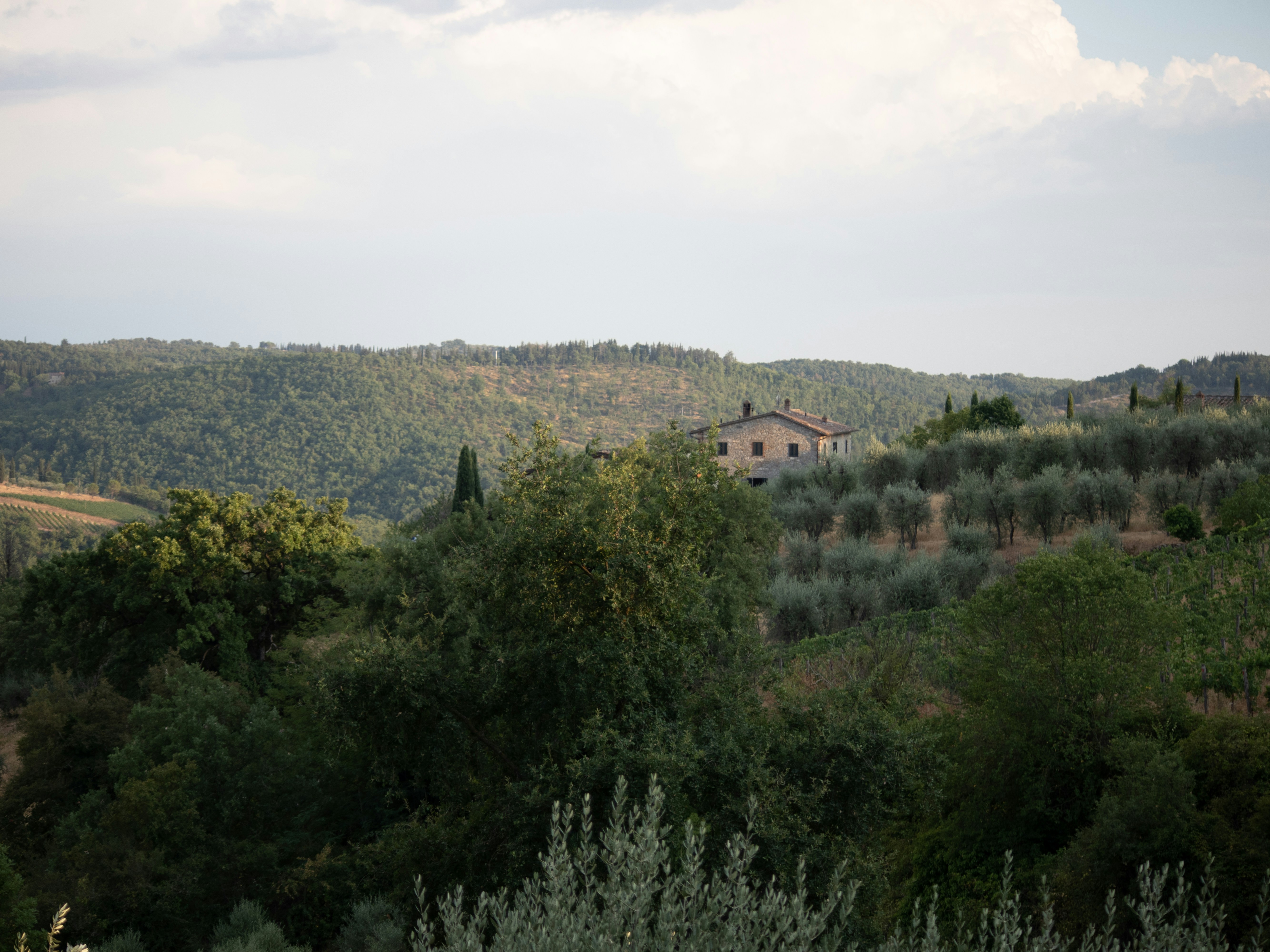 Photo by christian_dubendorfer