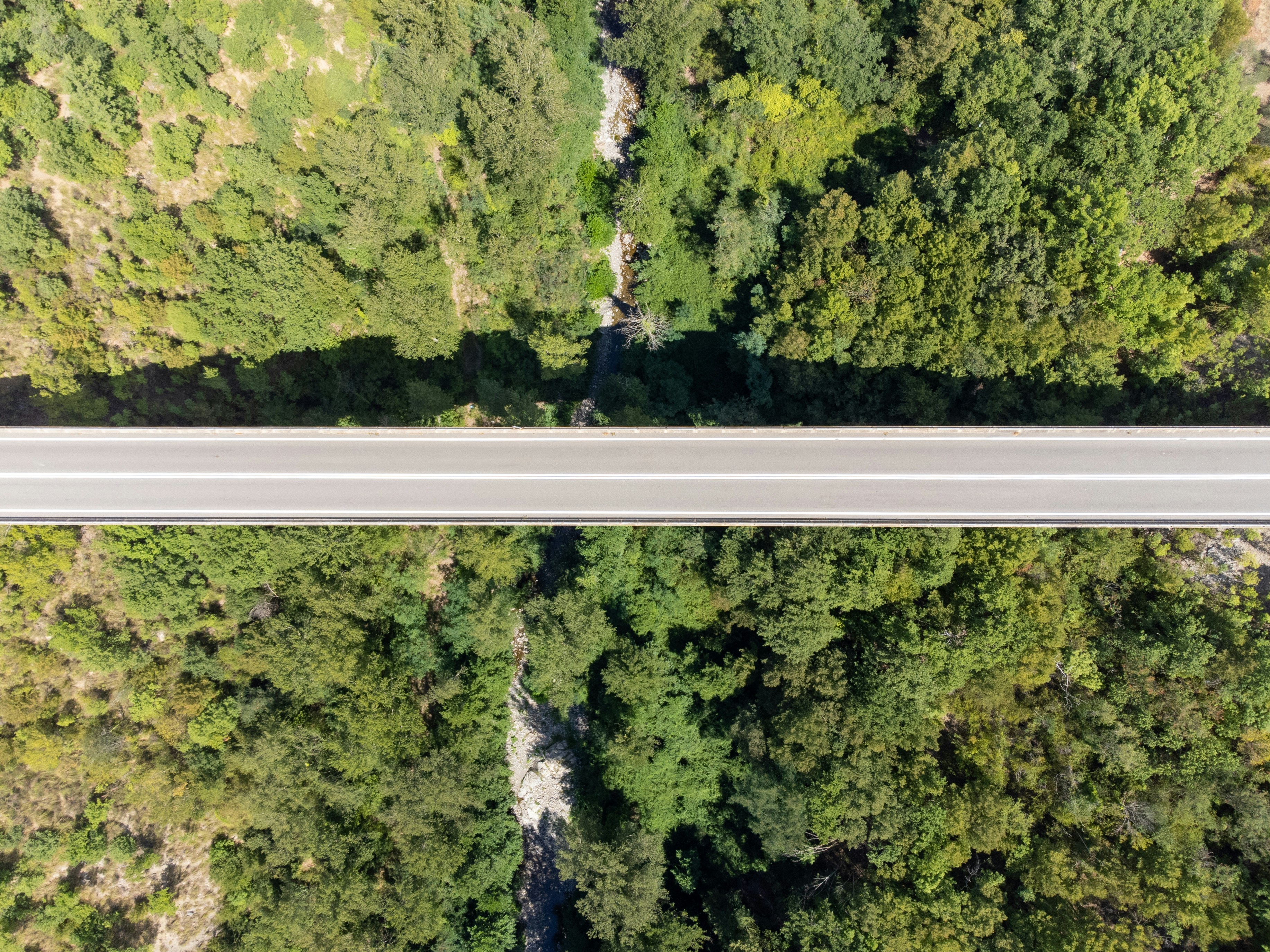 Photo by christian_dubendorfer