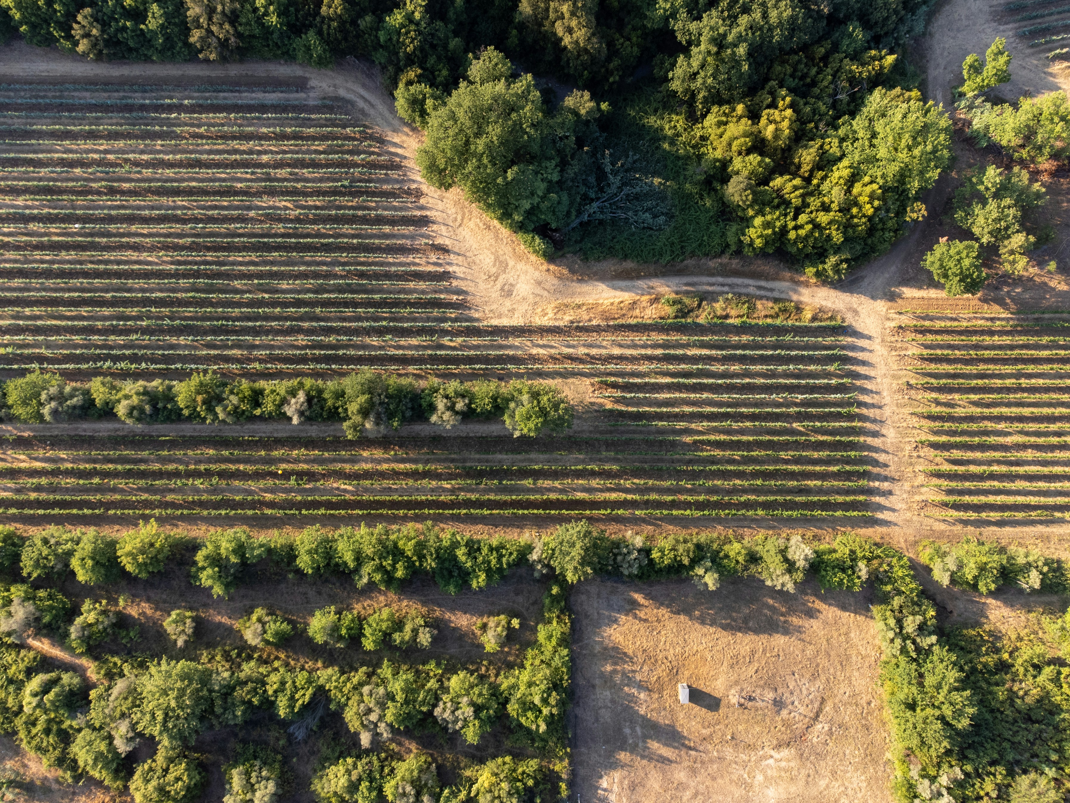 Photo by christian_dubendorfer