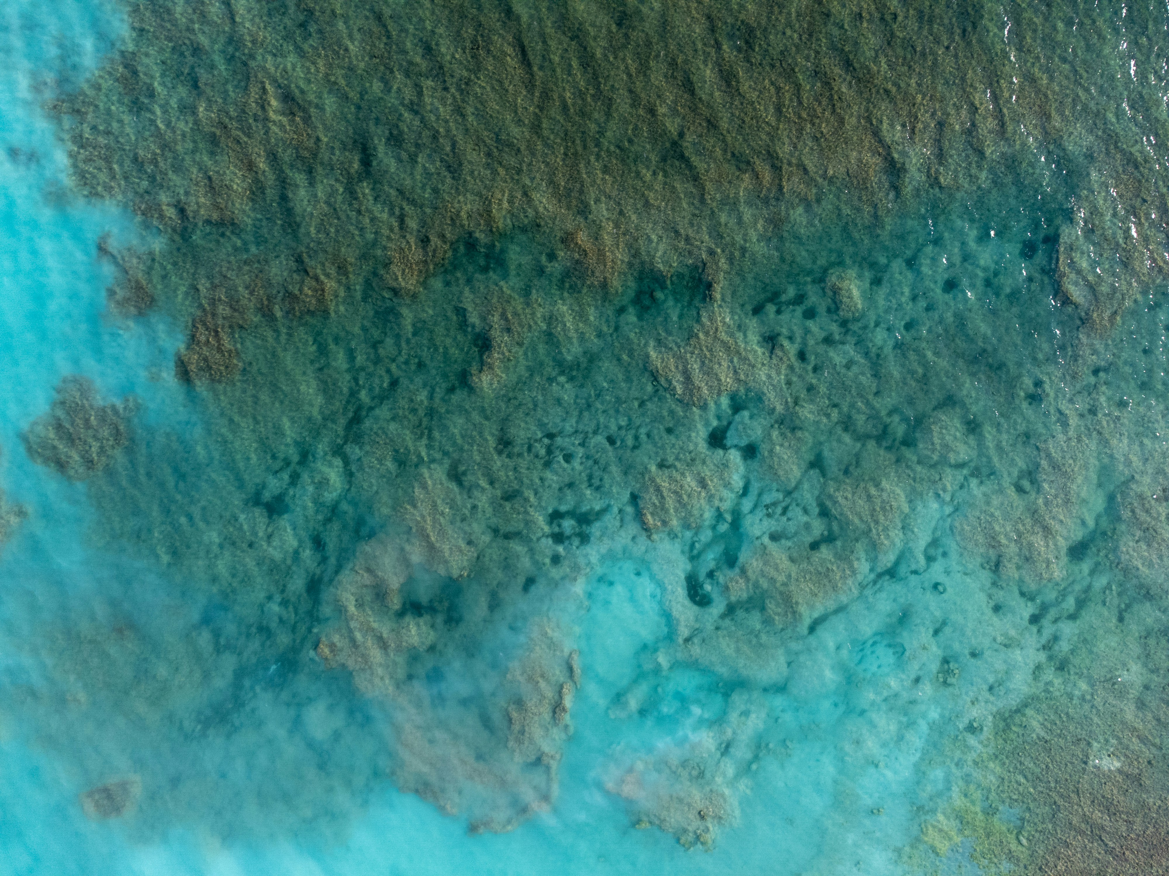 Photo by christian_dubendorfer