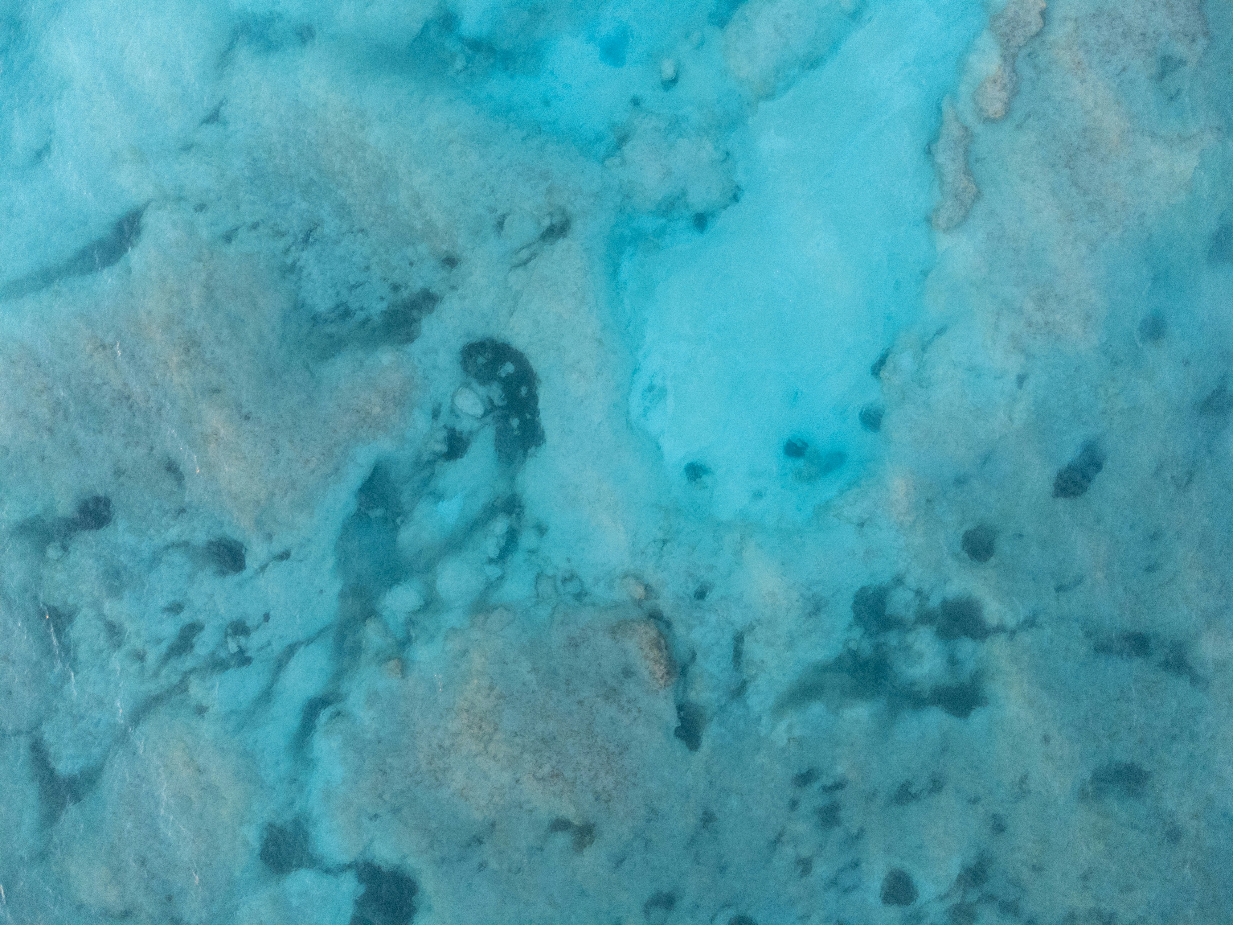 Photo by christian_dubendorfer