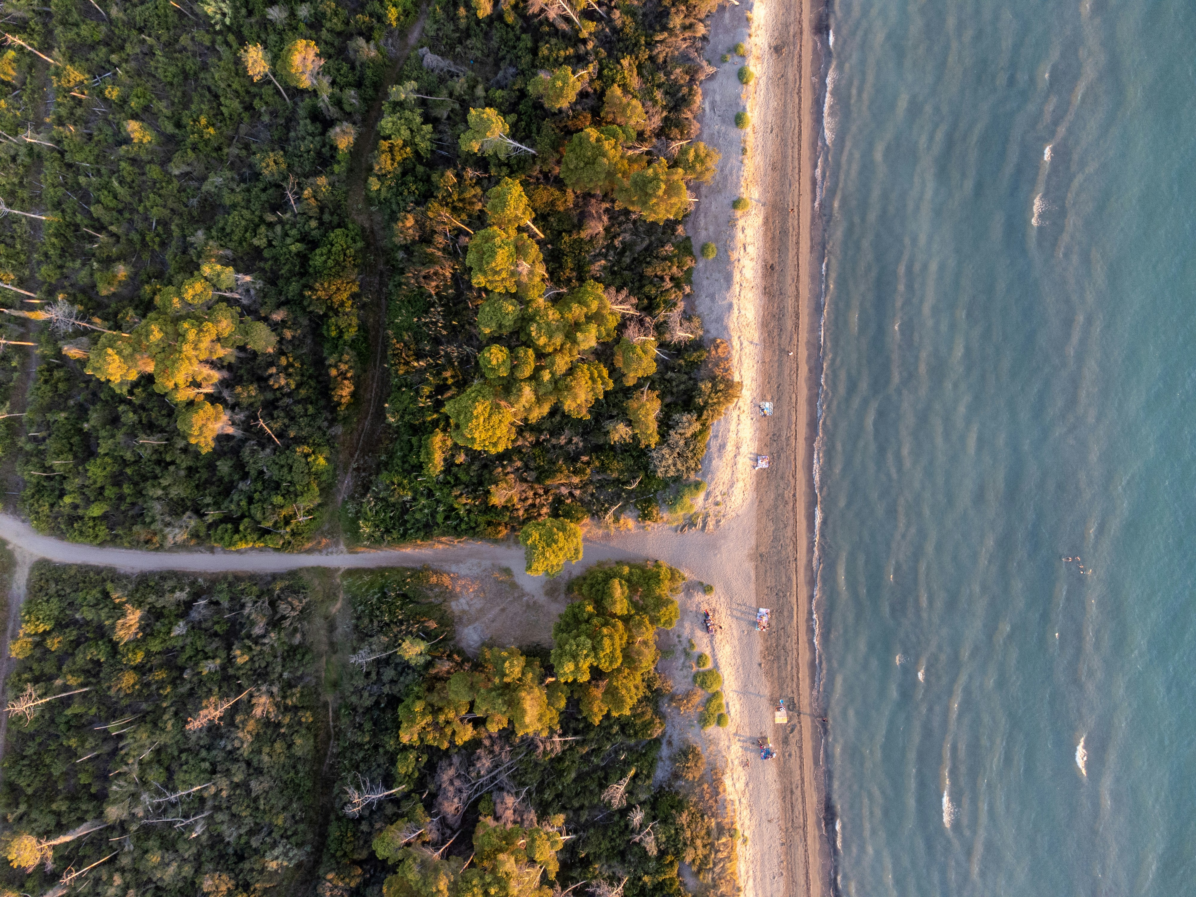 Photo by christian_dubendorfer