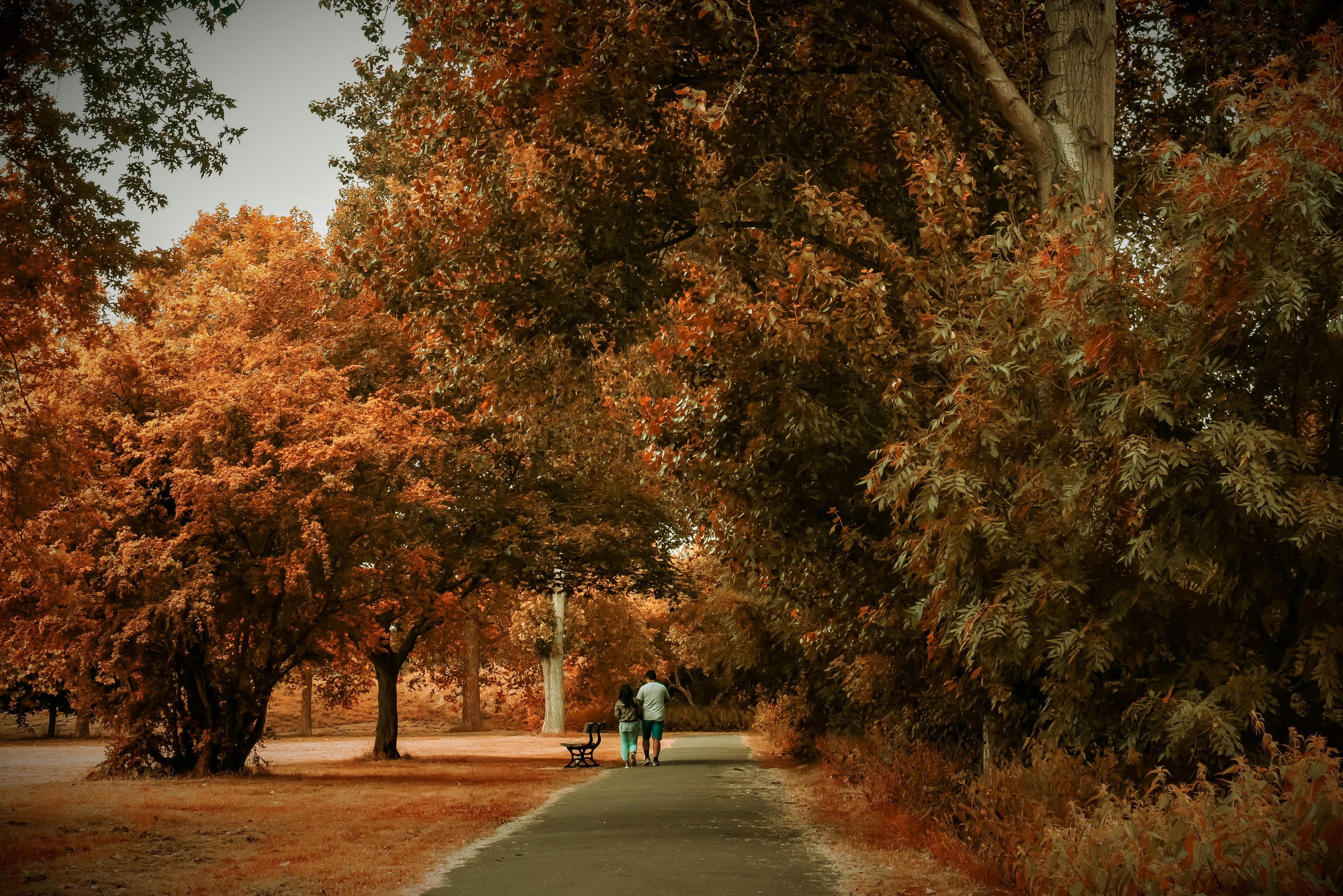 Photo by jdphoto2000