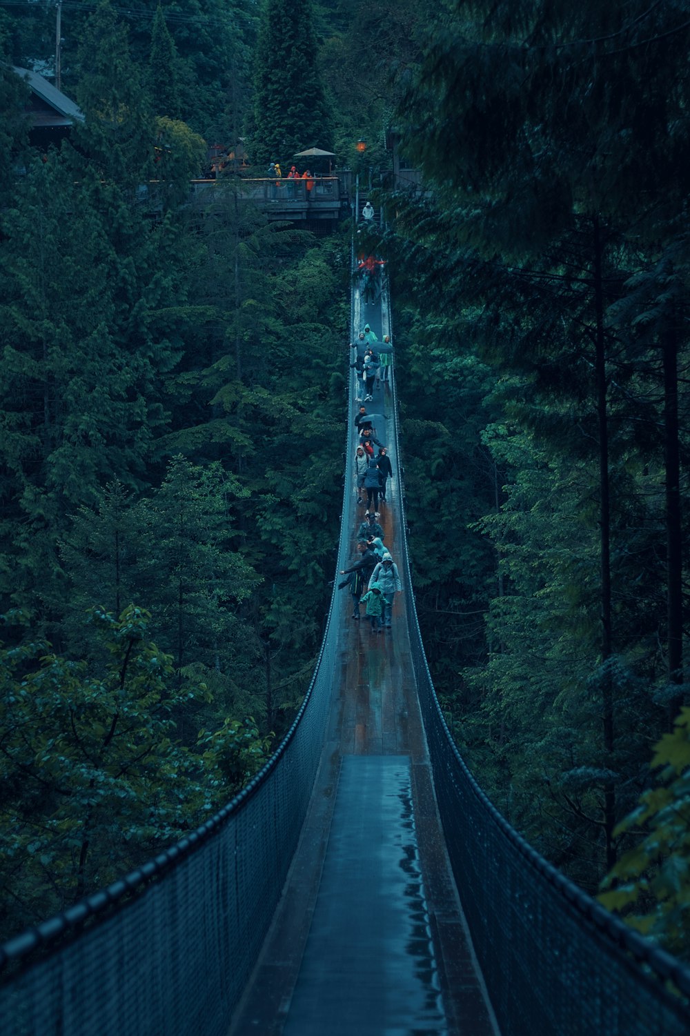 people on a suspension bridge with Capilano Suspension Bridge in the background